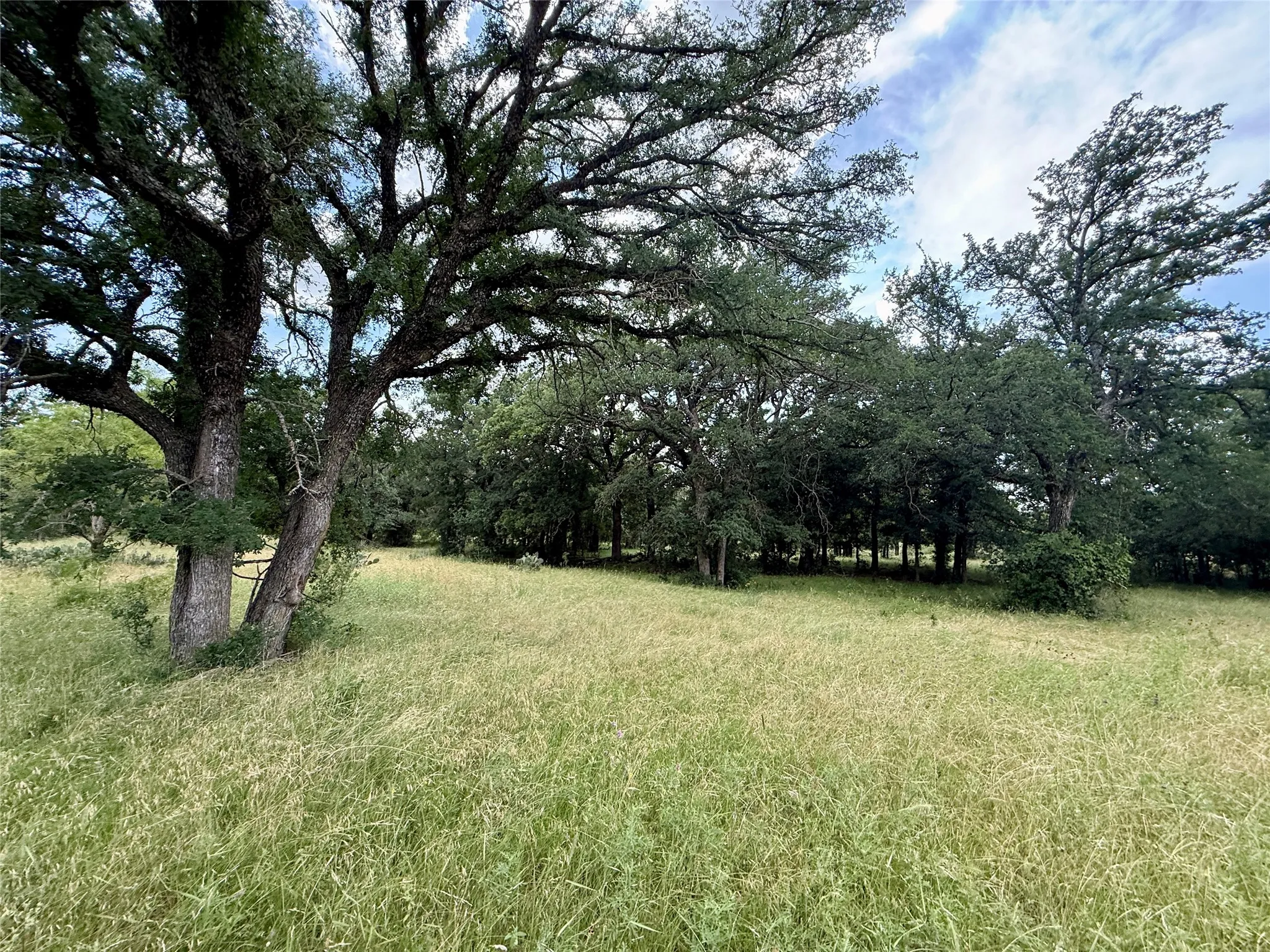 Unimproved Land For Sale in Brown County , 2840 County Road 404, Early, Texas 76802, 0, 0, Garage spaces, 0 Sqft, built in 0, mls#21294534, Real Estate Agent in Early, Homes For Sale in Brown county, Homes For Sale in Early, Realtor in Early Texas, Real Estate Brokerage Independent Realty Texas, Luminita Cordes Realtor