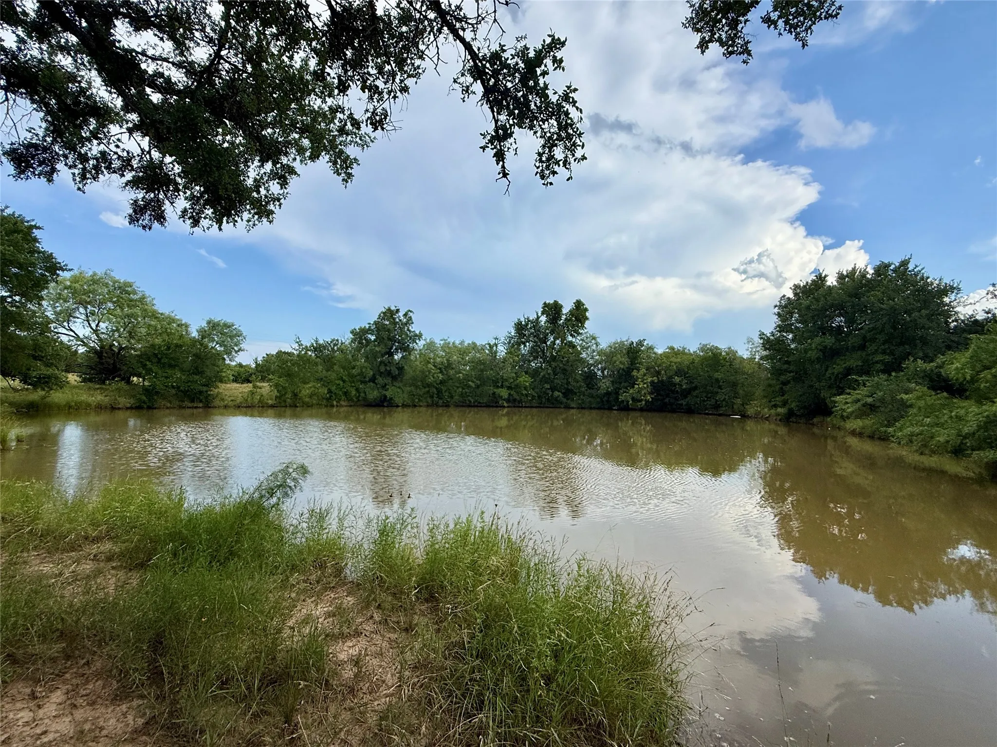 Unimproved Land For Sale in Brown County , 2840 County Road 404, Early, Texas 76802, 0, 0, Garage spaces, 0 Sqft, built in 0, mls#21294534, Real Estate Agent in Early, Homes For Sale in Brown county, Homes For Sale in Early, Realtor in Early Texas, Real Estate Brokerage Independent Realty Texas, Luminita Cordes Realtor
