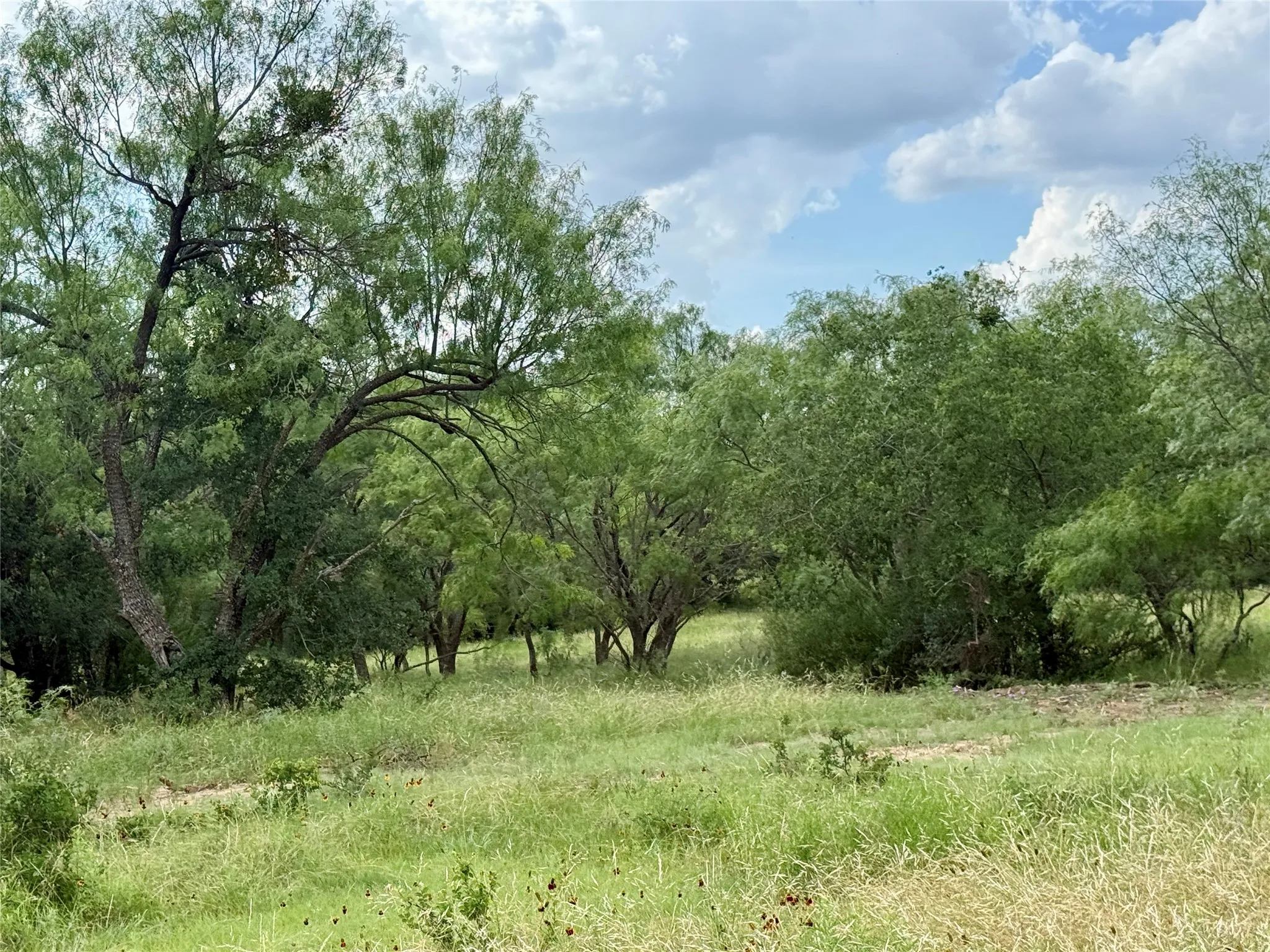 Unimproved Land For Sale in Brown County , 2840 County Road 404, Early, Texas 76802, 0, 0, Garage spaces, 0 Sqft, built in 0, mls#21294534, Real Estate Agent in Early, Homes For Sale in Brown county, Homes For Sale in Early, Realtor in Early Texas, Real Estate Brokerage Independent Realty Texas, Luminita Cordes Realtor