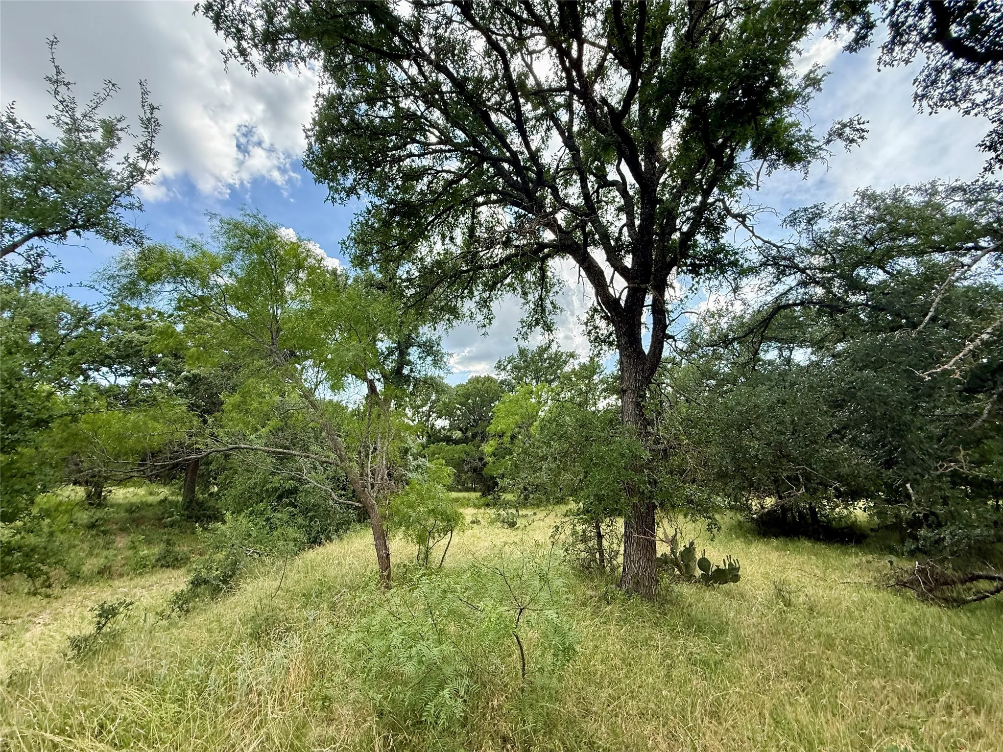 Unimproved Land For Sale in Brown County , 2840 County Road 404, Early, Texas 76802, 0, 0, Garage spaces, 0 Sqft, built in 0, mls#21294534, Real Estate Agent in Early, Homes For Sale in Brown county, Homes For Sale in Early, Realtor in Early Texas, Real Estate Brokerage Independent Realty Texas, Luminita Cordes Realtor