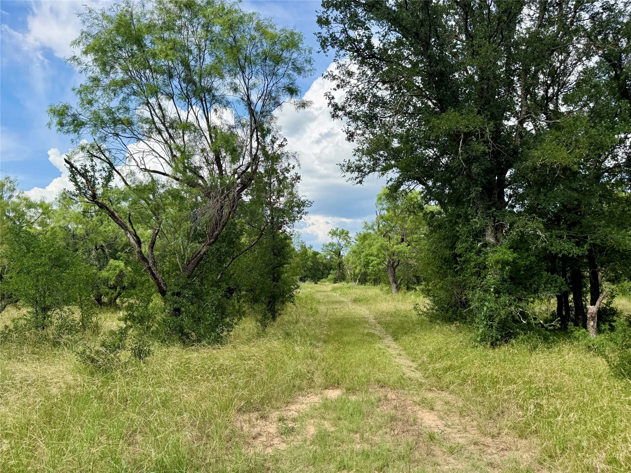 Unimproved Land For Sale in Brown County , 2840 County Road 404, Early, Texas 76802, 0, 0, Garage spaces, 0 Sqft, built in 0, mls#21294534, Real Estate Agent in Early, Homes For Sale in Brown county, Homes For Sale in Early, Realtor in Early Texas, Real Estate Brokerage Independent Realty Texas, Luminita Cordes Realtor