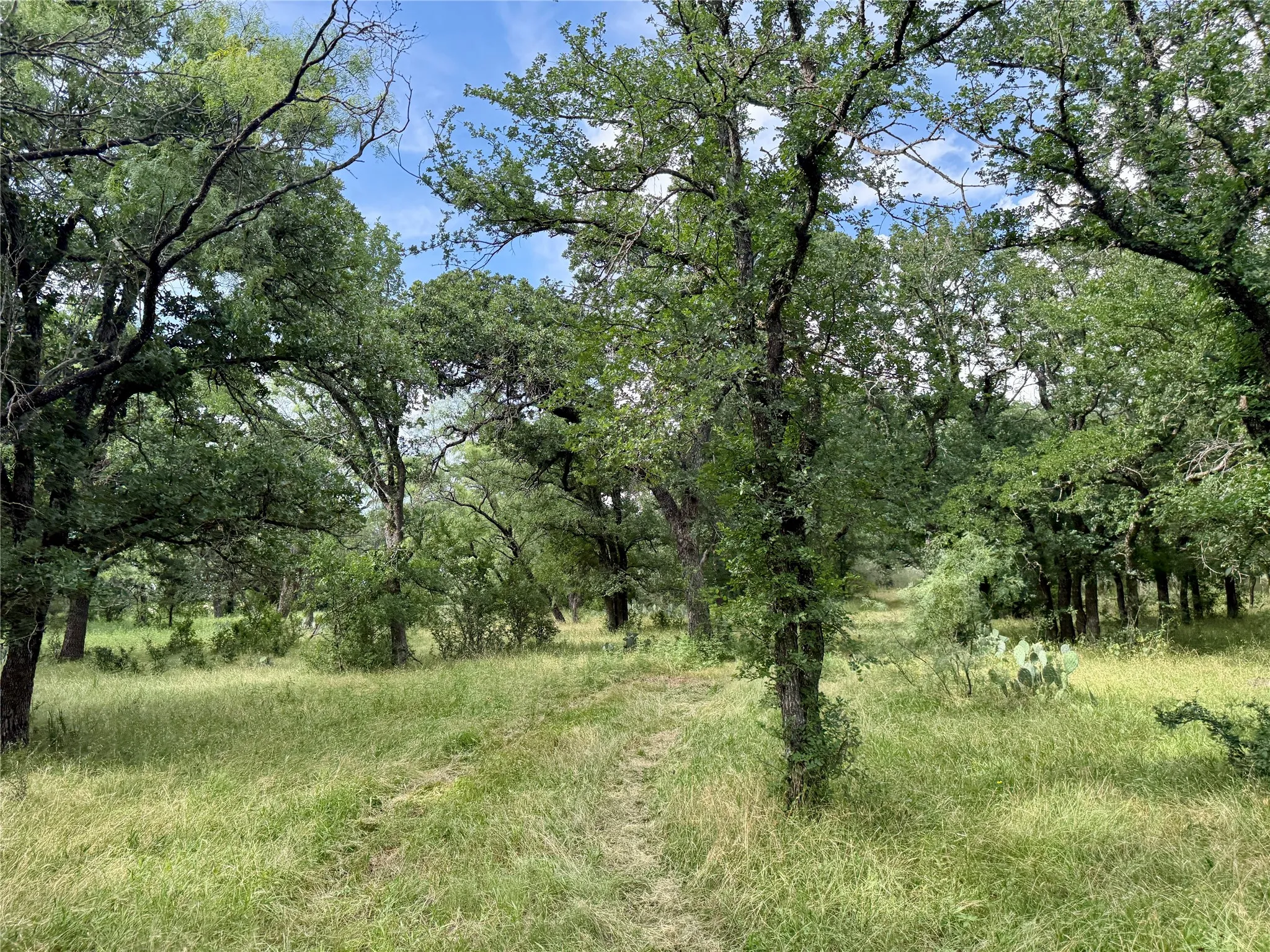 Unimproved Land For Sale in Brown County , 2840 County Road 404, Early, Texas 76802, 0, 0, Garage spaces, 0 Sqft, built in 0, mls#21294534, Real Estate Agent in Early, Homes For Sale in Brown county, Homes For Sale in Early, Realtor in Early Texas, Real Estate Brokerage Independent Realty Texas, Luminita Cordes Realtor