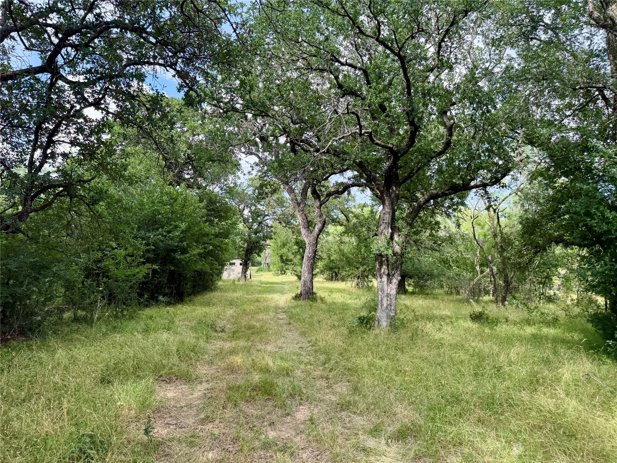Unimproved Land For Sale in Brown County , 2840 County Road 404, Early, Texas 76802, 0, 0, Garage spaces, 0 Sqft, built in 0, mls#21294534, Real Estate Agent in Early, Homes For Sale in Brown county, Homes For Sale in Early, Realtor in Early Texas, Real Estate Brokerage Independent Realty Texas, Luminita Cordes Realtor