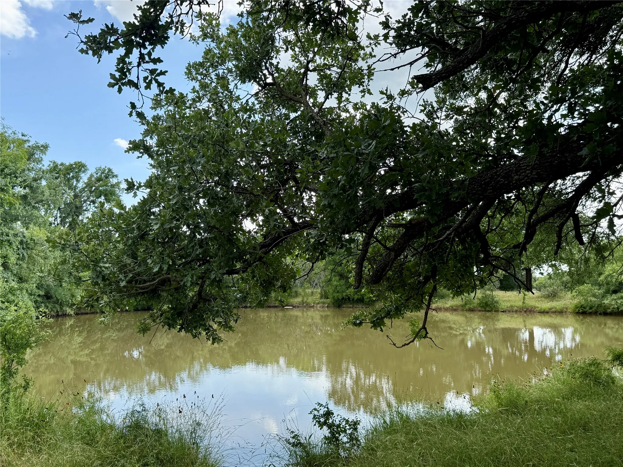 Unimproved Land For Sale in Brown County , 2840 County Road 404, Early, Texas 76802, 0, 0, Garage spaces, 0 Sqft, built in 0, mls#21294534, Real Estate Agent in Early, Homes For Sale in Brown county, Homes For Sale in Early, Realtor in Early Texas, Real Estate Brokerage Independent Realty Texas, Luminita Cordes Realtor