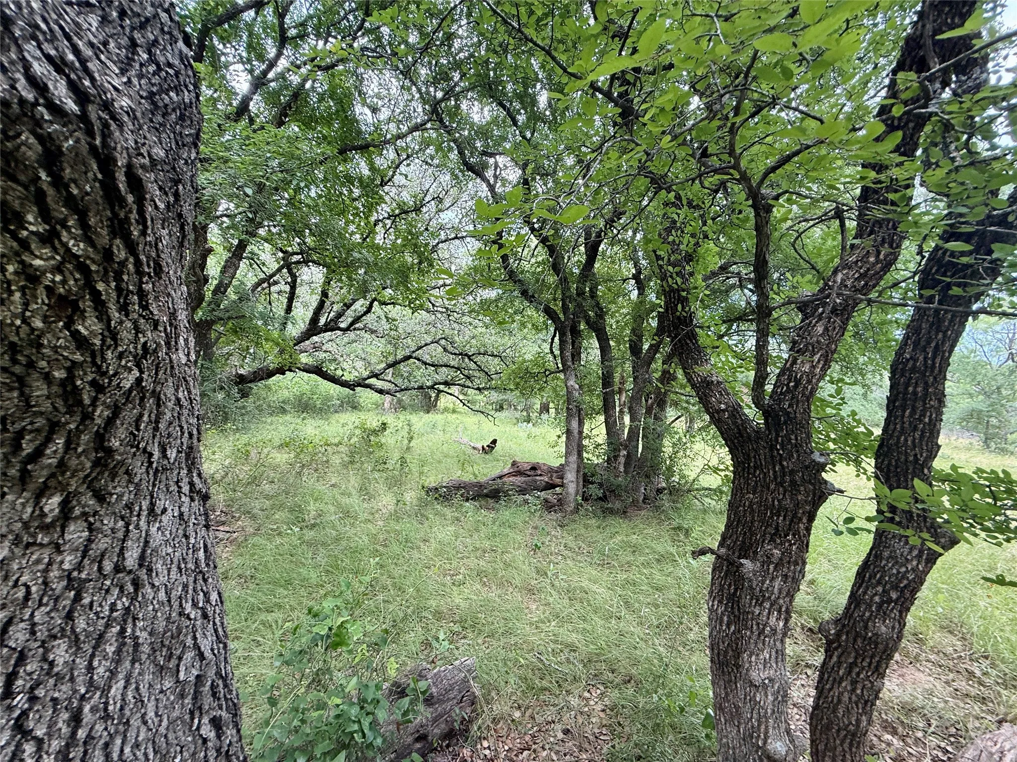 Unimproved Land For Sale in Brown County , 2840 County Road 404, Early, Texas 76802, 0, 0, Garage spaces, 0 Sqft, built in 0, mls#21294534, Real Estate Agent in Early, Homes For Sale in Brown county, Homes For Sale in Early, Realtor in Early Texas, Real Estate Brokerage Independent Realty Texas, Luminita Cordes Realtor