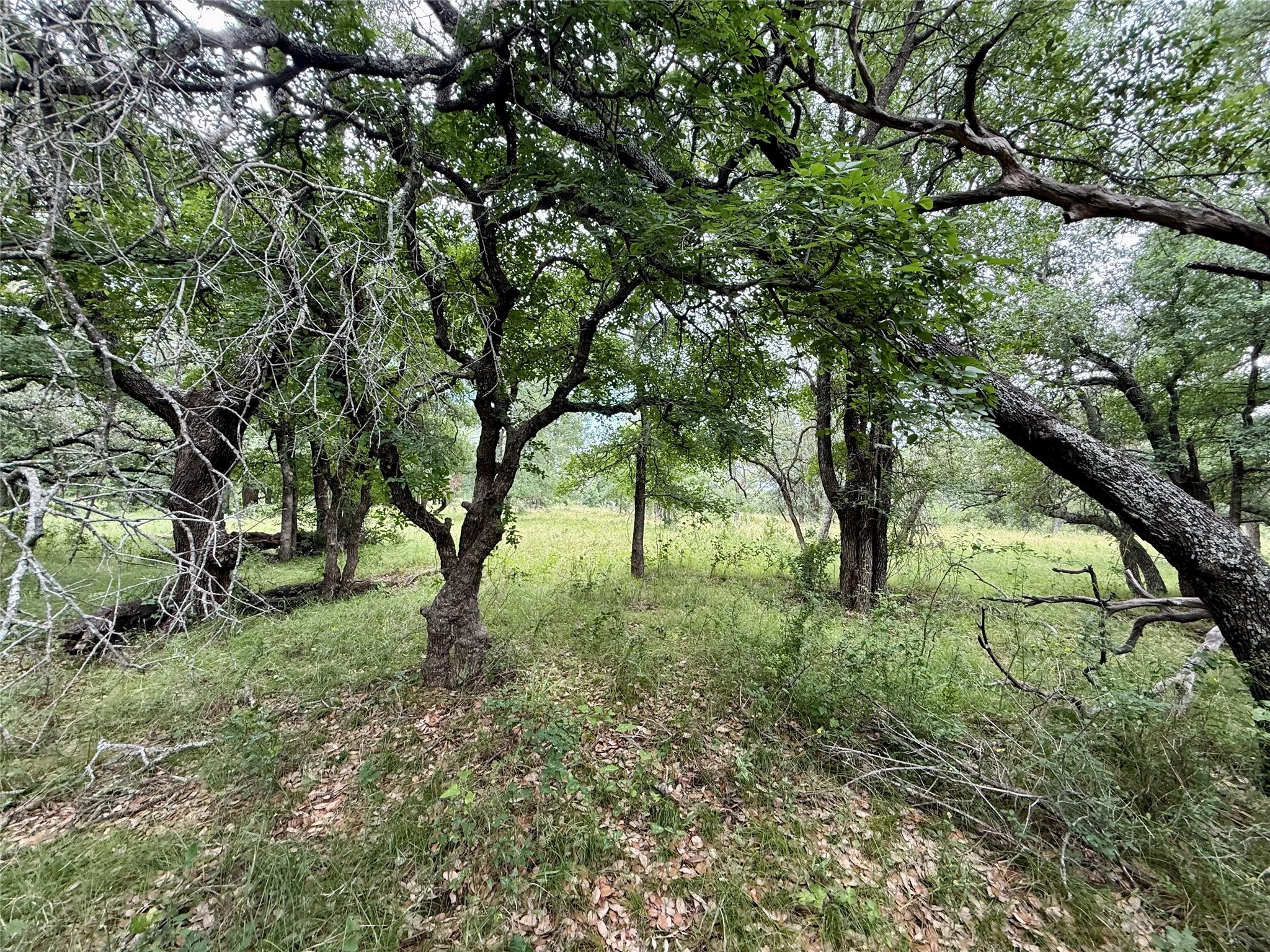Unimproved Land For Sale in Brown County , 2840 County Road 404, Early, Texas 76802, 0, 0, Garage spaces, 0 Sqft, built in 0, mls#21294534, Real Estate Agent in Early, Homes For Sale in Brown county, Homes For Sale in Early, Realtor in Early Texas, Real Estate Brokerage Independent Realty Texas, Luminita Cordes Realtor