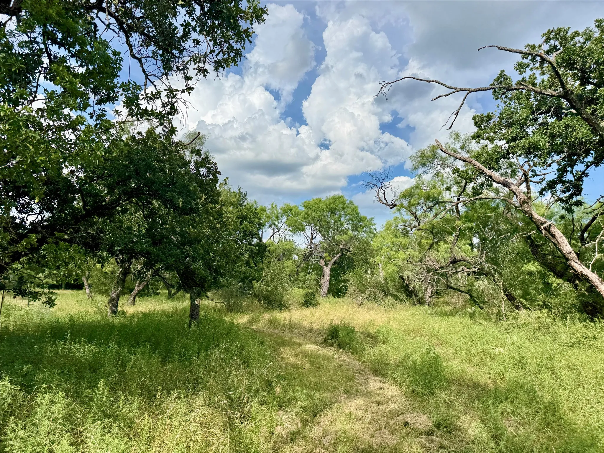 Unimproved Land For Sale in Brown County , 2840 County Road 404, Early, Texas 76802, 0, 0, Garage spaces, 0 Sqft, built in 0, mls#21294534, Real Estate Agent in Early, Homes For Sale in Brown county, Homes For Sale in Early, Realtor in Early Texas, Real Estate Brokerage Independent Realty Texas, Luminita Cordes Realtor