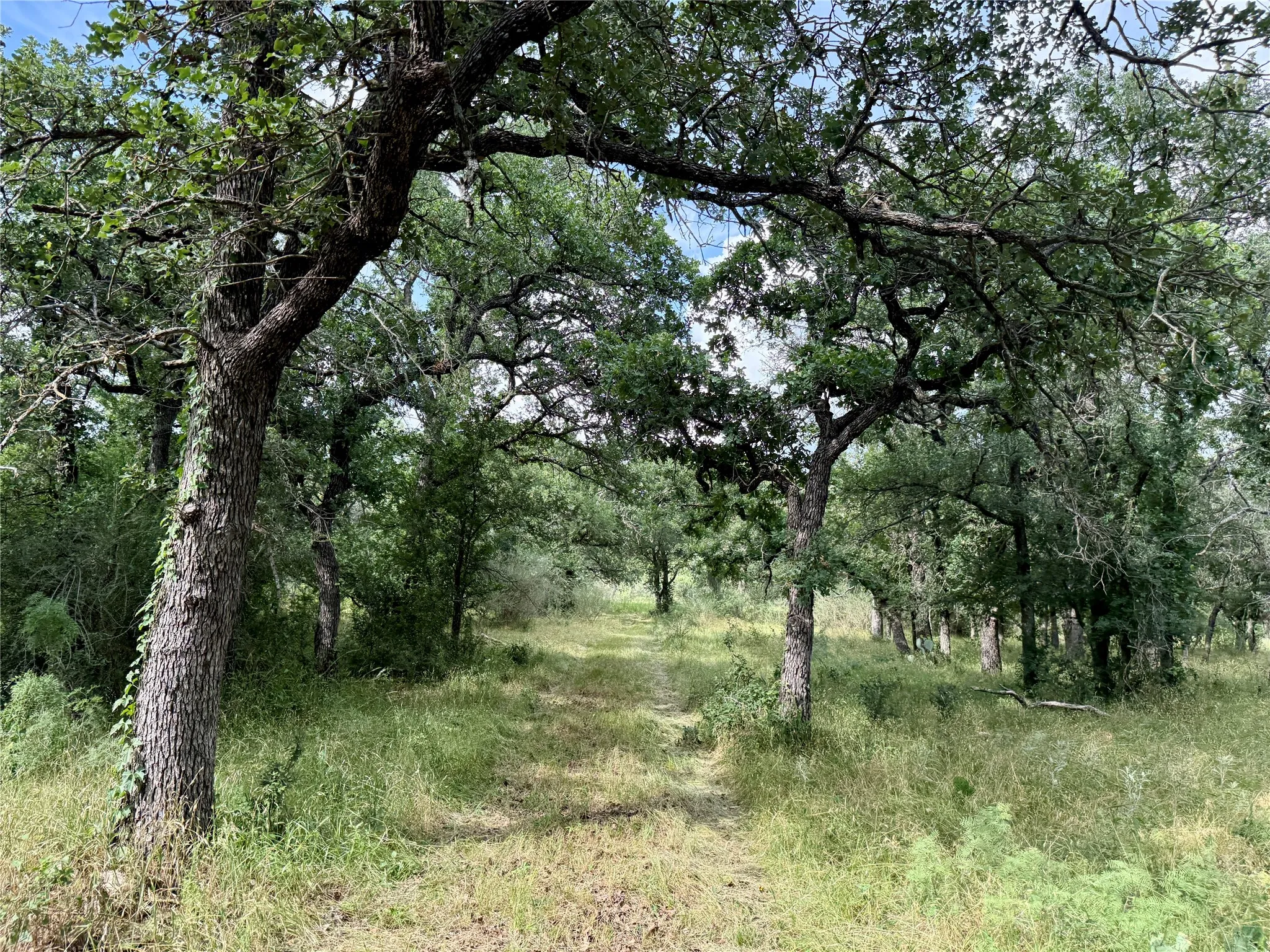 Unimproved Land For Sale in Brown County , 2840 County Road 404, Early, Texas 76802, 0, 0, Garage spaces, 0 Sqft, built in 0, mls#21294534, Real Estate Agent in Early, Homes For Sale in Brown county, Homes For Sale in Early, Realtor in Early Texas, Real Estate Brokerage Independent Realty Texas, Luminita Cordes Realtor