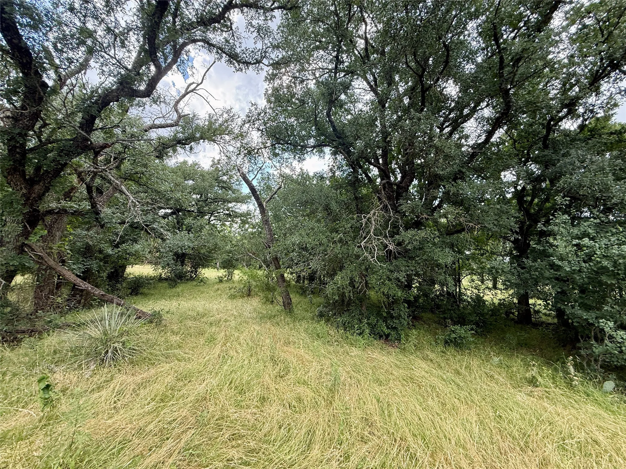 Unimproved Land For Sale in Brown County , 2840 County Road 404, Early, Texas 76802, 0, 0, Garage spaces, 0 Sqft, built in 0, mls#21294534, Real Estate Agent in Early, Homes For Sale in Brown county, Homes For Sale in Early, Realtor in Early Texas, Real Estate Brokerage Independent Realty Texas, Luminita Cordes Realtor