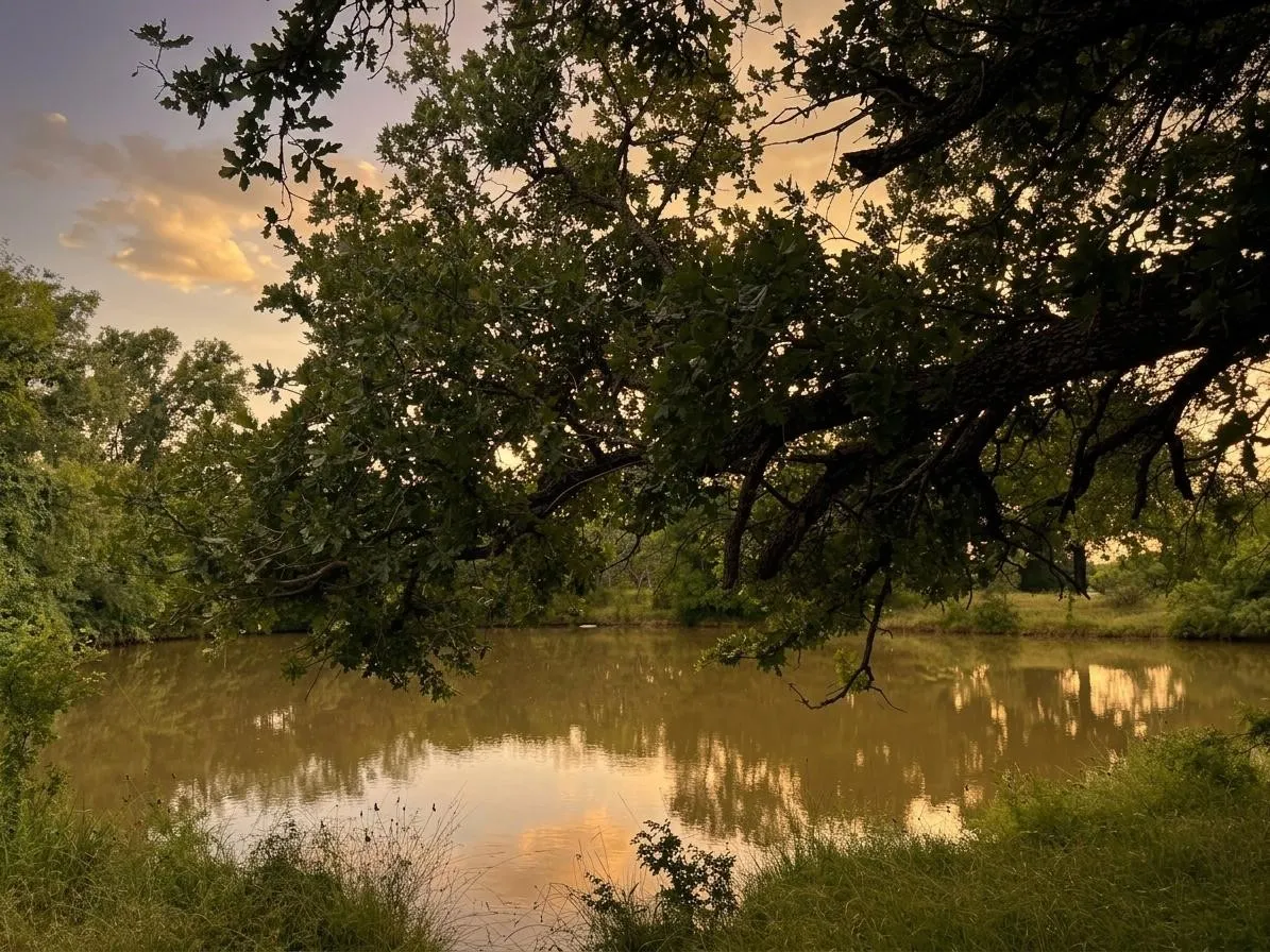 Unimproved Land For Sale in Brown County , 2840 County Road 404, Early, Texas 76802, 0, 0, Garage spaces, 0 Sqft, built in 0, mls#21294534, Real Estate Agent in Early, Homes For Sale in Brown county, Homes For Sale in Early, Realtor in Early Texas, Real Estate Brokerage Independent Realty Texas, Luminita Cordes Realtor