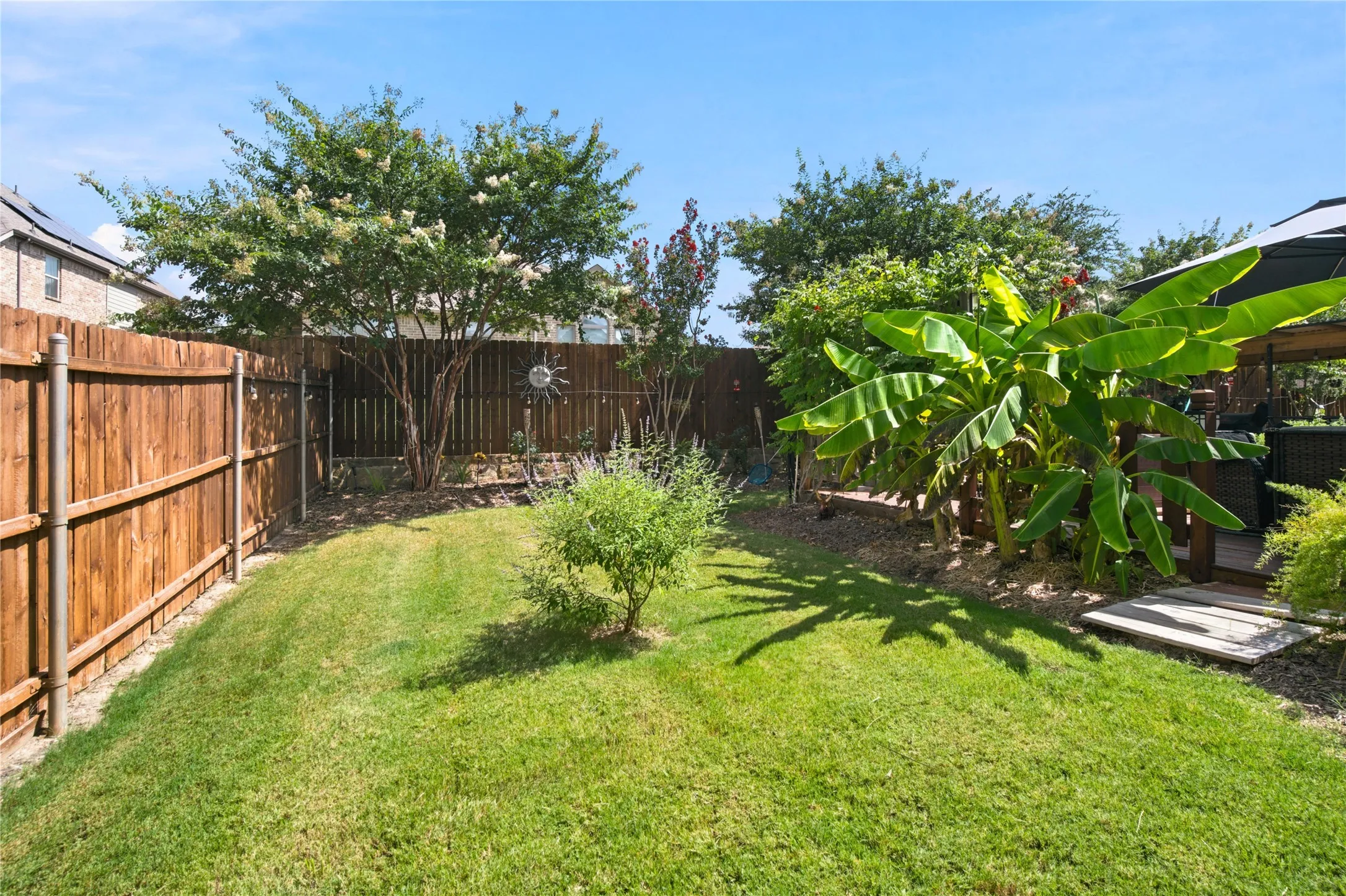 Fenced Privacy All Plants Auto Watered