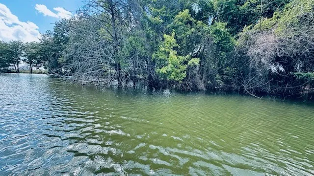 Unimproved Land For Sale in Fannin County , 265 Sailview Court, Honey Grove, Texas 75446, 0, 0, Garage spaces, 0 Sqft, built in 0, Price $230,000, mls#21292573, Real Estate Agent in Honey Grove, Homes For Sale in Fannin county, Homes For Sale in Honey Grove, Realtor in Honey Grove Texas, Real Estate Brokerage Independent Realty Texas, Luminita Cordes Realtor