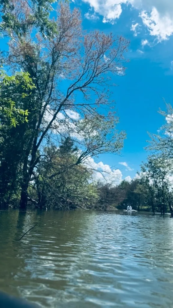 Unimproved Land For Sale in Fannin County , 265 Sailview Court, Honey Grove, Texas 75446, 0, 0, Garage spaces, 0 Sqft, built in 0, Price $230,000, mls#21292573, Real Estate Agent in Honey Grove, Homes For Sale in Fannin county, Homes For Sale in Honey Grove, Realtor in Honey Grove Texas, Real Estate Brokerage Independent Realty Texas, Luminita Cordes Realtor