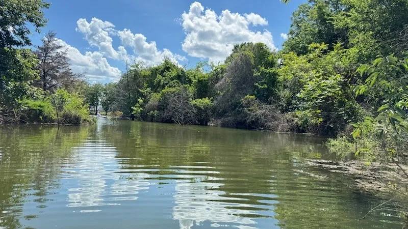 Unimproved Land For Sale in Fannin County , 265 Sailview Court, Honey Grove, Texas 75446, 0, 0, Garage spaces, 0 Sqft, built in 0, Price $230,000, mls#21292573, Real Estate Agent in Honey Grove, Homes For Sale in Fannin county, Homes For Sale in Honey Grove, Realtor in Honey Grove Texas, Real Estate Brokerage Independent Realty Texas, Luminita Cordes Realtor