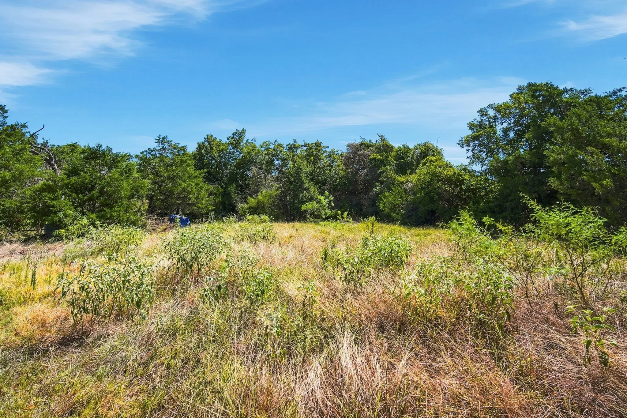 Improved Land For Sale in Navarro County , 16550 NW COUNTY ROAD 3120, Purdon, Texas 76679, 0, 0, Garage spaces, 0 Sqft, built in 2022, mls#21294627, Real Estate Agent in Purdon, Homes For Sale in Navarro county, Homes For Sale in Purdon, Realtor in Purdon Texas, Real Estate Brokerage Independent Realty Texas, Luminita Cordes Realtor