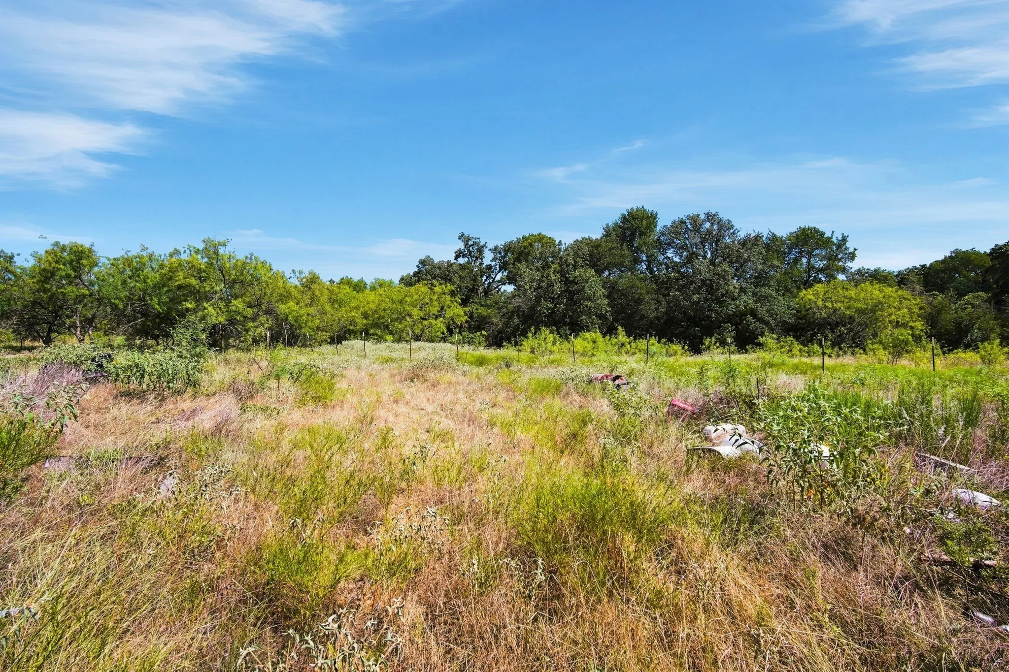 Improved Land For Sale in Navarro County , 16550 NW COUNTY ROAD 3120, Purdon, Texas 76679, 0, 0, Garage spaces, 0 Sqft, built in 2022, mls#21294627, Real Estate Agent in Purdon, Homes For Sale in Navarro county, Homes For Sale in Purdon, Realtor in Purdon Texas, Real Estate Brokerage Independent Realty Texas, Luminita Cordes Realtor