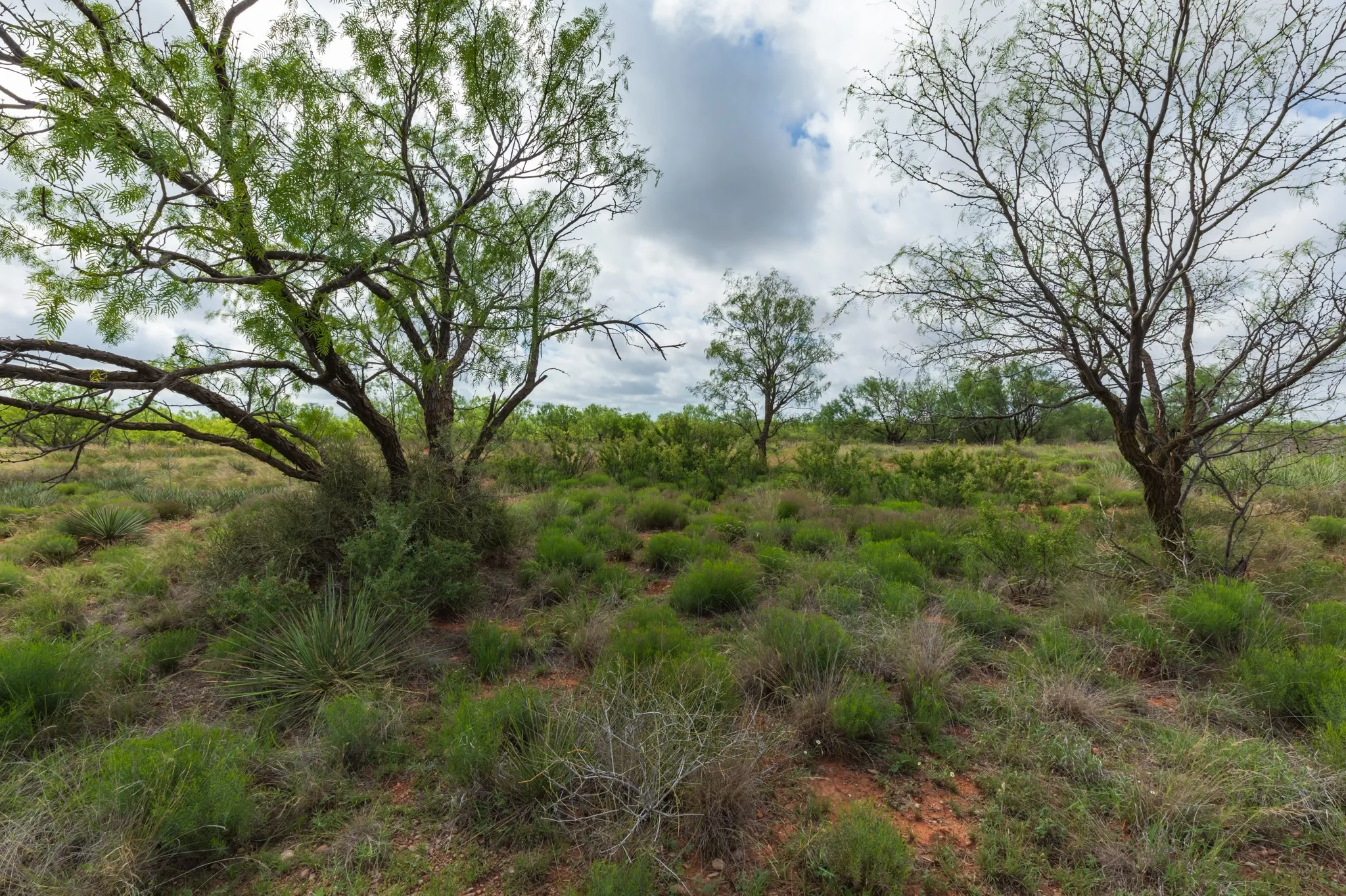 Unimproved Land For Sale in Jones County , TBD PR 4082, Abilene, Texas 79601, 0, 0, Garage spaces, 0 Sqft, built in 0, mls#21294718, Real Estate Agent in Abilene, Homes For Sale in Jones county, Homes For Sale in Abilene, Realtor in Abilene Texas, Real Estate Brokerage Independent Realty Texas, Luminita Cordes Realtor