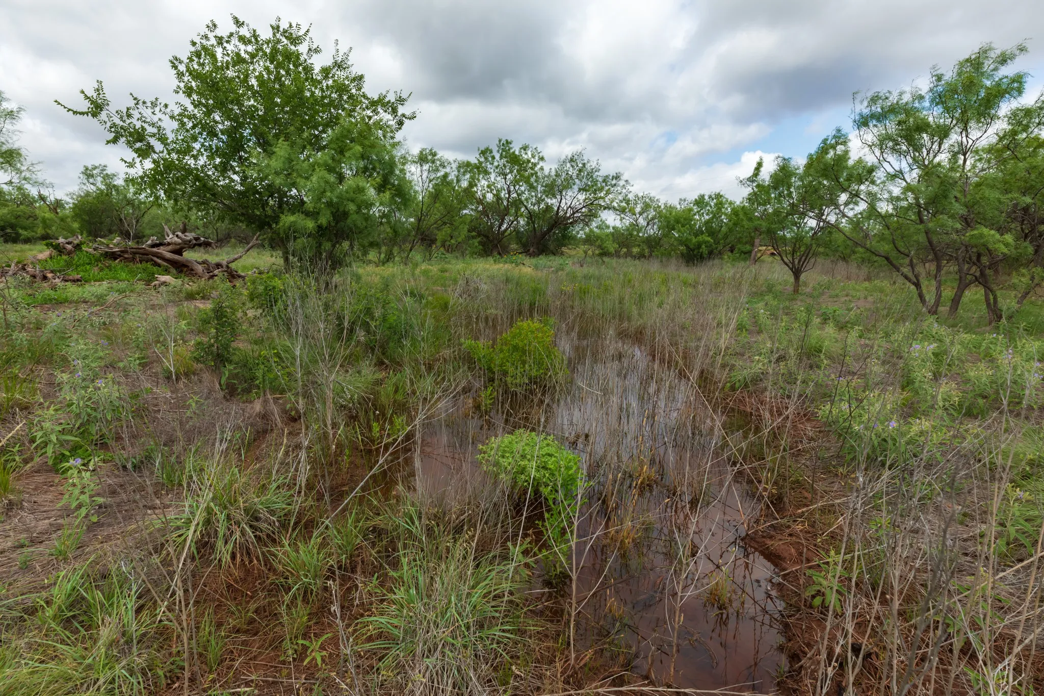 Unimproved Land For Sale in Jones County , TBD PR 4082, Abilene, Texas 79601, 0, 0, Garage spaces, 0 Sqft, built in 0, mls#21294718, Real Estate Agent in Abilene, Homes For Sale in Jones county, Homes For Sale in Abilene, Realtor in Abilene Texas, Real Estate Brokerage Independent Realty Texas, Luminita Cordes Realtor