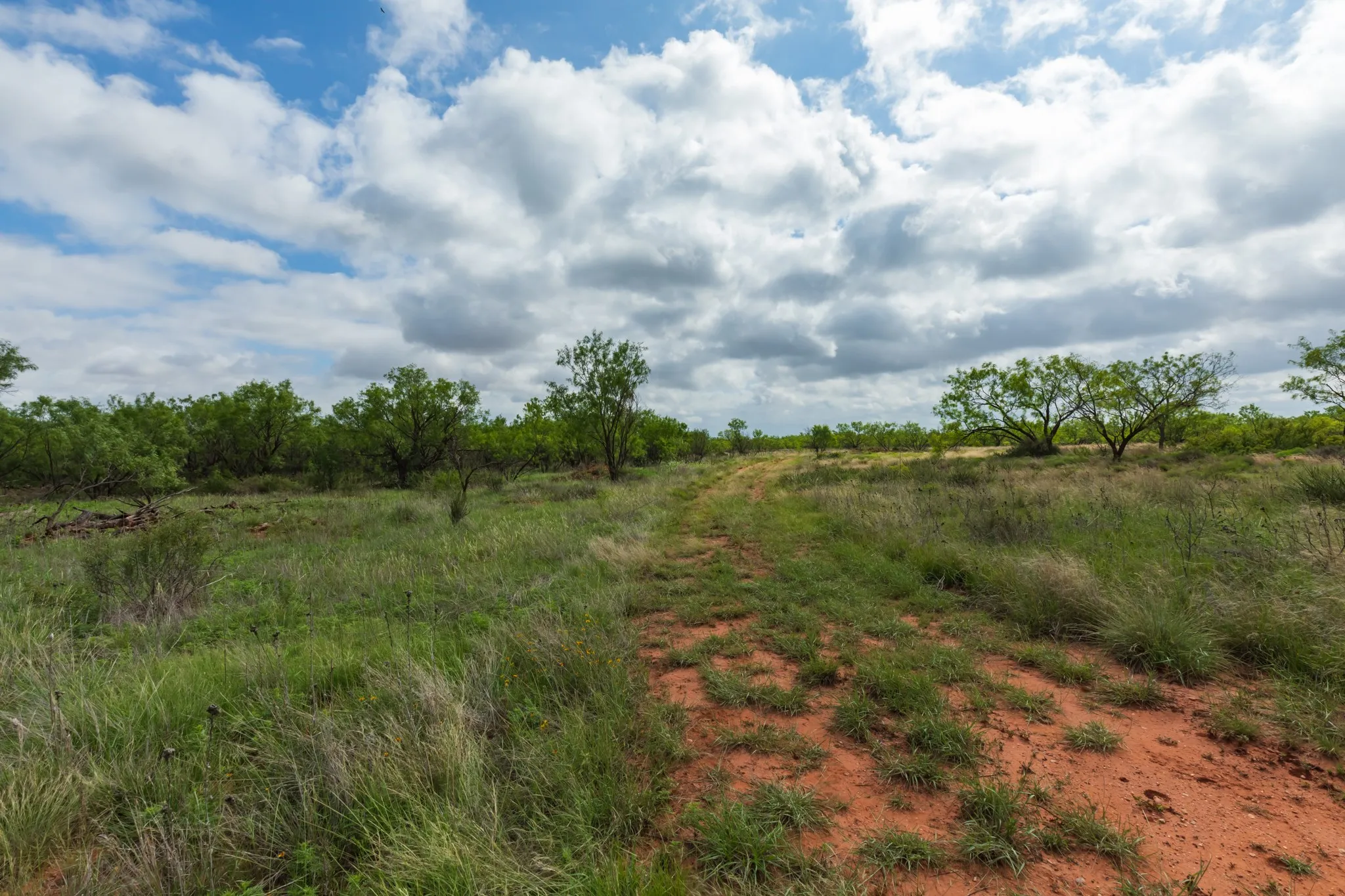 Unimproved Land For Sale in Jones County , TBD PR 4082, Abilene, Texas 79601, 0, 0, Garage spaces, 0 Sqft, built in 0, mls#21294718, Real Estate Agent in Abilene, Homes For Sale in Jones county, Homes For Sale in Abilene, Realtor in Abilene Texas, Real Estate Brokerage Independent Realty Texas, Luminita Cordes Realtor