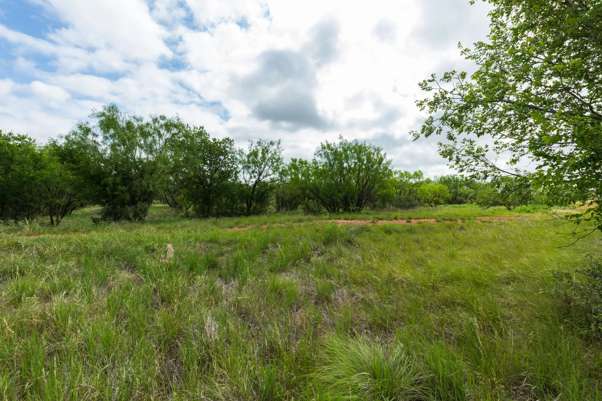 Unimproved Land For Sale in Jones County , TBD PR 4082, Abilene, Texas 79601, 0, 0, Garage spaces, 0 Sqft, built in 0, mls#21294718, Real Estate Agent in Abilene, Homes For Sale in Jones county, Homes For Sale in Abilene, Realtor in Abilene Texas, Real Estate Brokerage Independent Realty Texas, Luminita Cordes Realtor