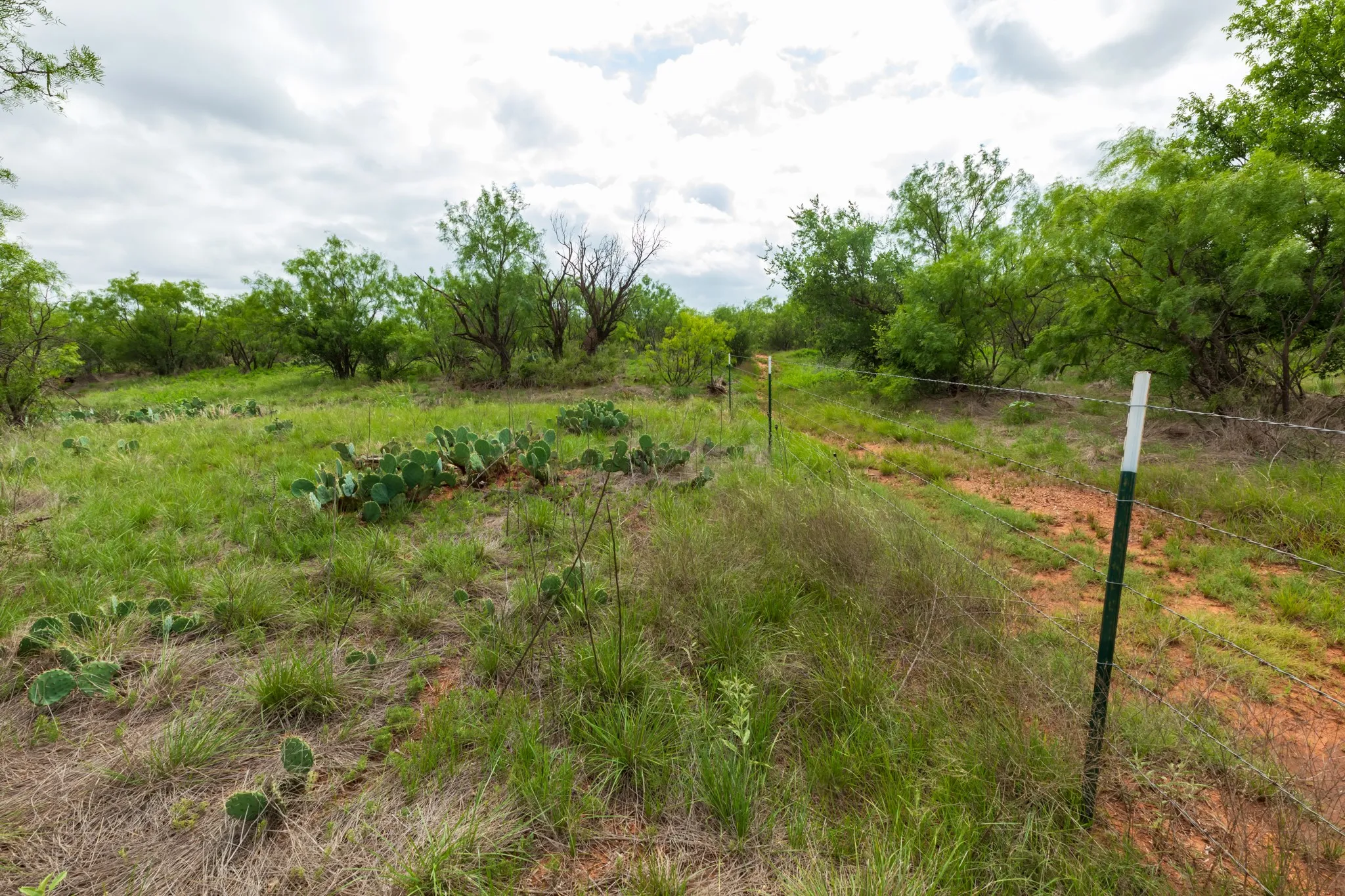 Unimproved Land For Sale in Jones County , TBD PR 4082, Abilene, Texas 79601, 0, 0, Garage spaces, 0 Sqft, built in 0, mls#21294718, Real Estate Agent in Abilene, Homes For Sale in Jones county, Homes For Sale in Abilene, Realtor in Abilene Texas, Real Estate Brokerage Independent Realty Texas, Luminita Cordes Realtor
