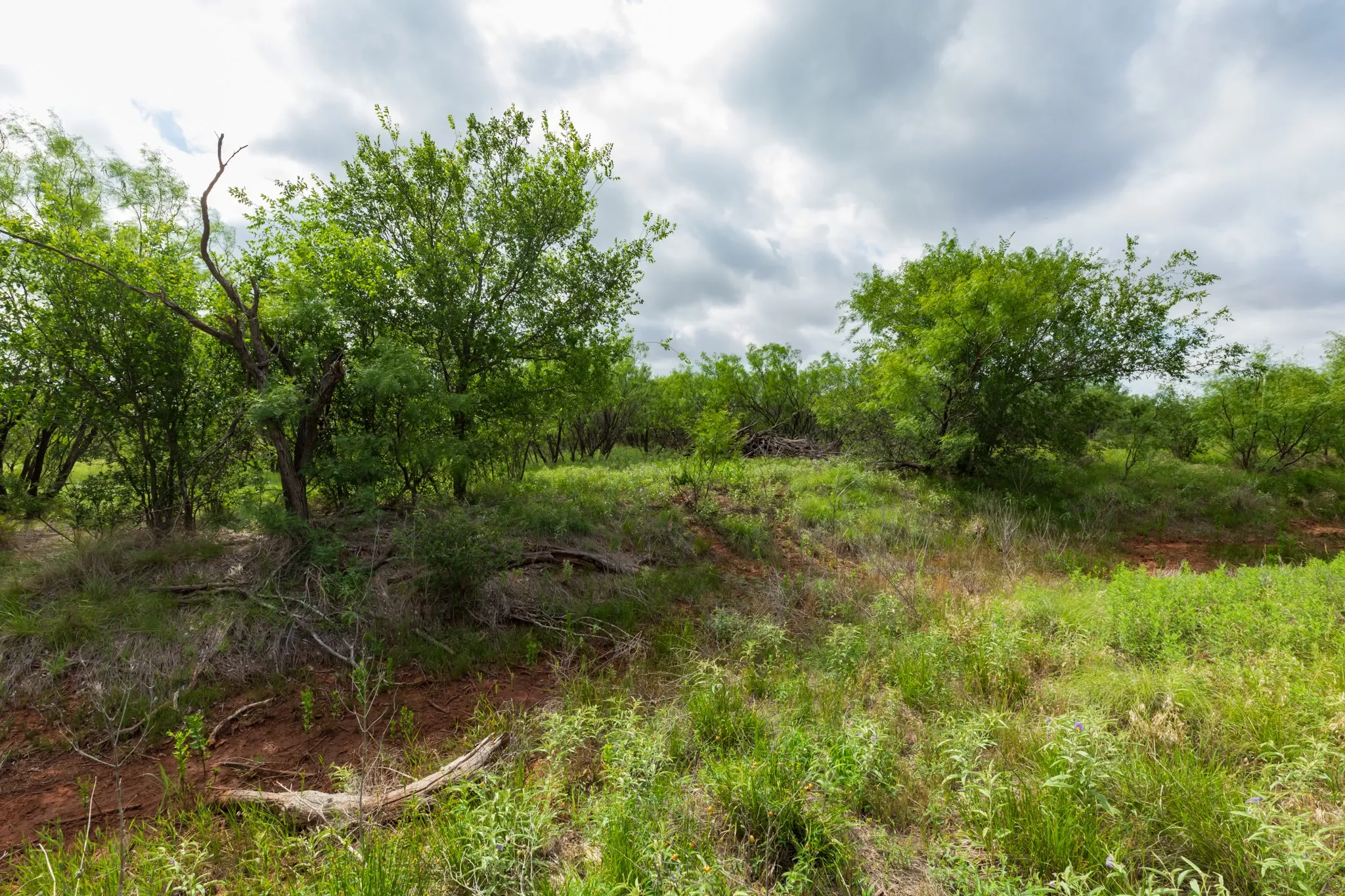 Unimproved Land For Sale in Jones County , TBD PR 4082, Abilene, Texas 79601, 0, 0, Garage spaces, 0 Sqft, built in 0, mls#21294718, Real Estate Agent in Abilene, Homes For Sale in Jones county, Homes For Sale in Abilene, Realtor in Abilene Texas, Real Estate Brokerage Independent Realty Texas, Luminita Cordes Realtor