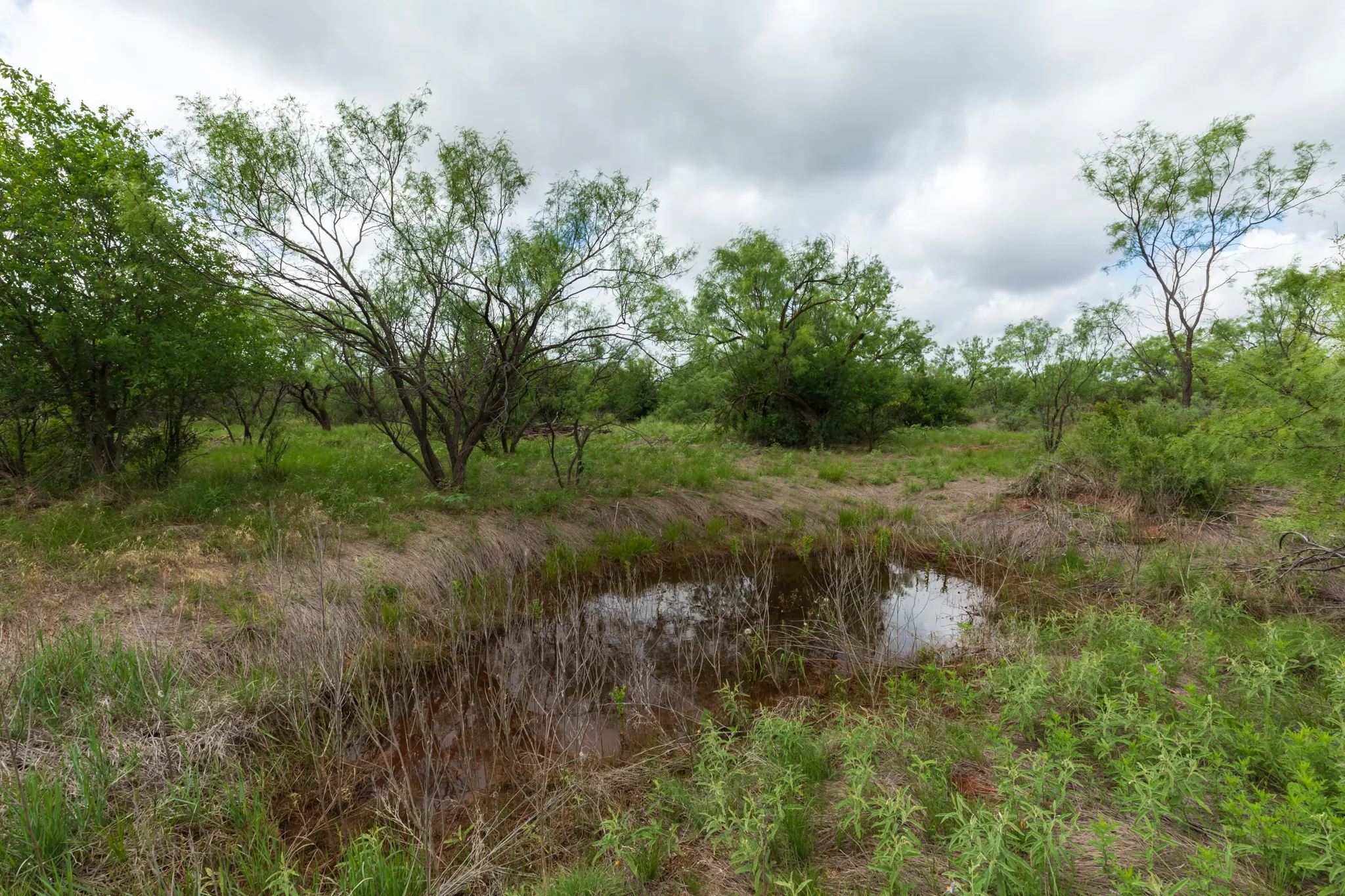 Unimproved Land For Sale in Jones County , TBD PR 4082, Abilene, Texas 79601, 0, 0, Garage spaces, 0 Sqft, built in 0, mls#21294718, Real Estate Agent in Abilene, Homes For Sale in Jones county, Homes For Sale in Abilene, Realtor in Abilene Texas, Real Estate Brokerage Independent Realty Texas, Luminita Cordes Realtor