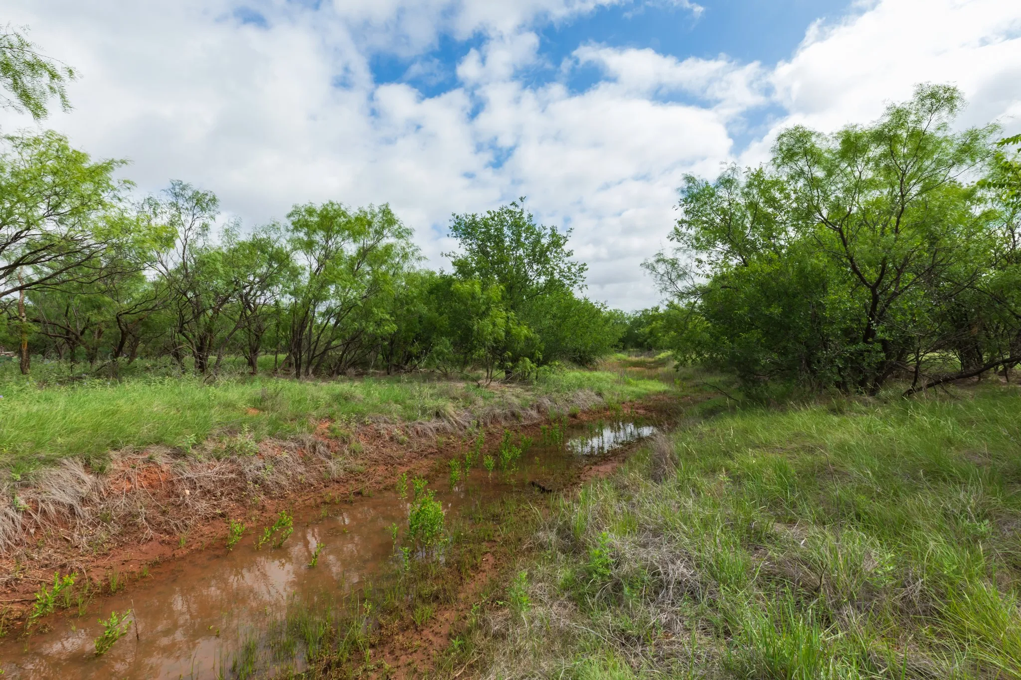 Unimproved Land For Sale in Jones County , TBD PR 4082, Abilene, Texas 79601, 0, 0, Garage spaces, 0 Sqft, built in 0, mls#21294718, Real Estate Agent in Abilene, Homes For Sale in Jones county, Homes For Sale in Abilene, Realtor in Abilene Texas, Real Estate Brokerage Independent Realty Texas, Luminita Cordes Realtor
