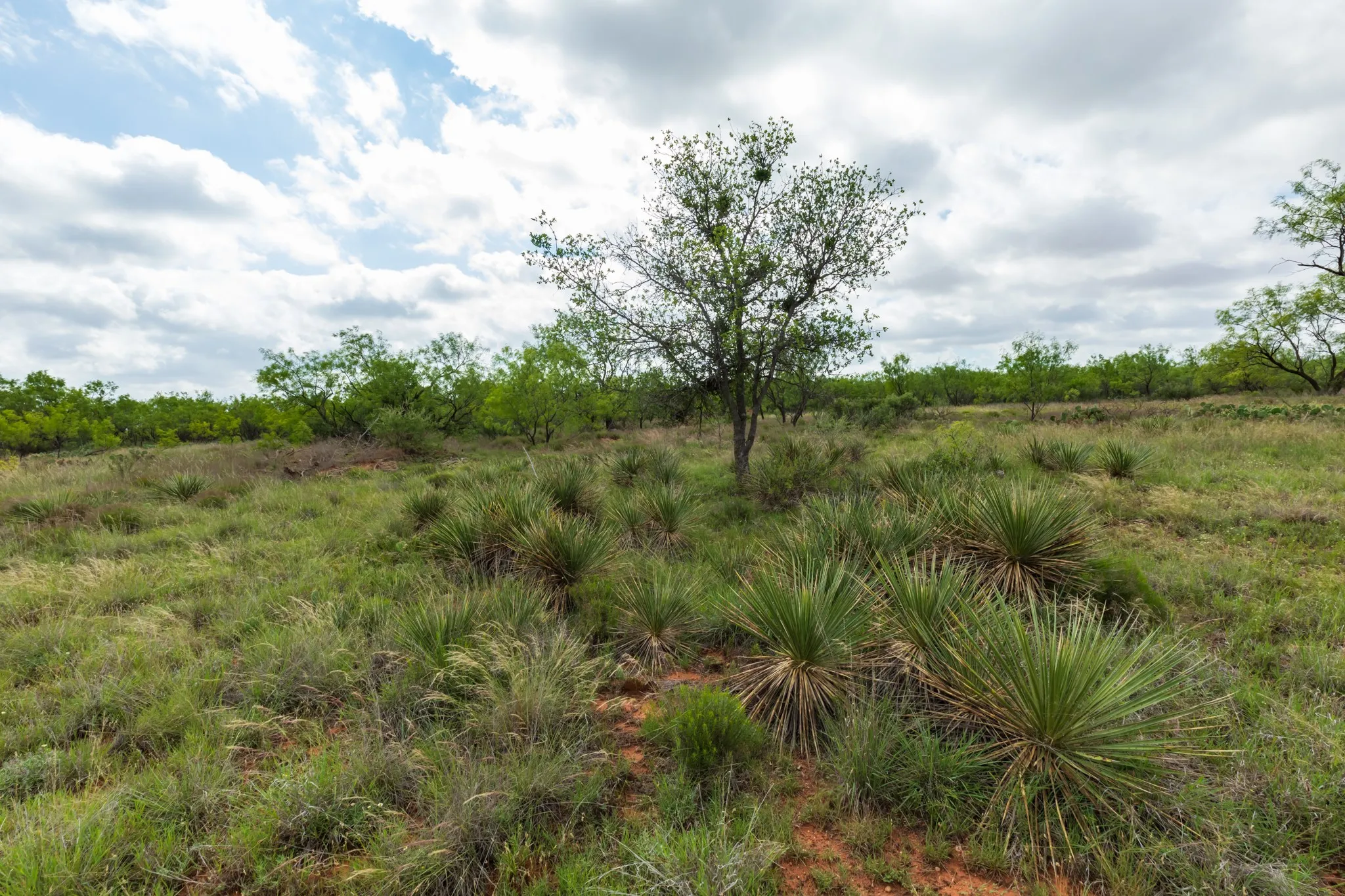 Unimproved Land For Sale in Jones County , TBD PR 4082, Abilene, Texas 79601, 0, 0, Garage spaces, 0 Sqft, built in 0, mls#21294718, Real Estate Agent in Abilene, Homes For Sale in Jones county, Homes For Sale in Abilene, Realtor in Abilene Texas, Real Estate Brokerage Independent Realty Texas, Luminita Cordes Realtor