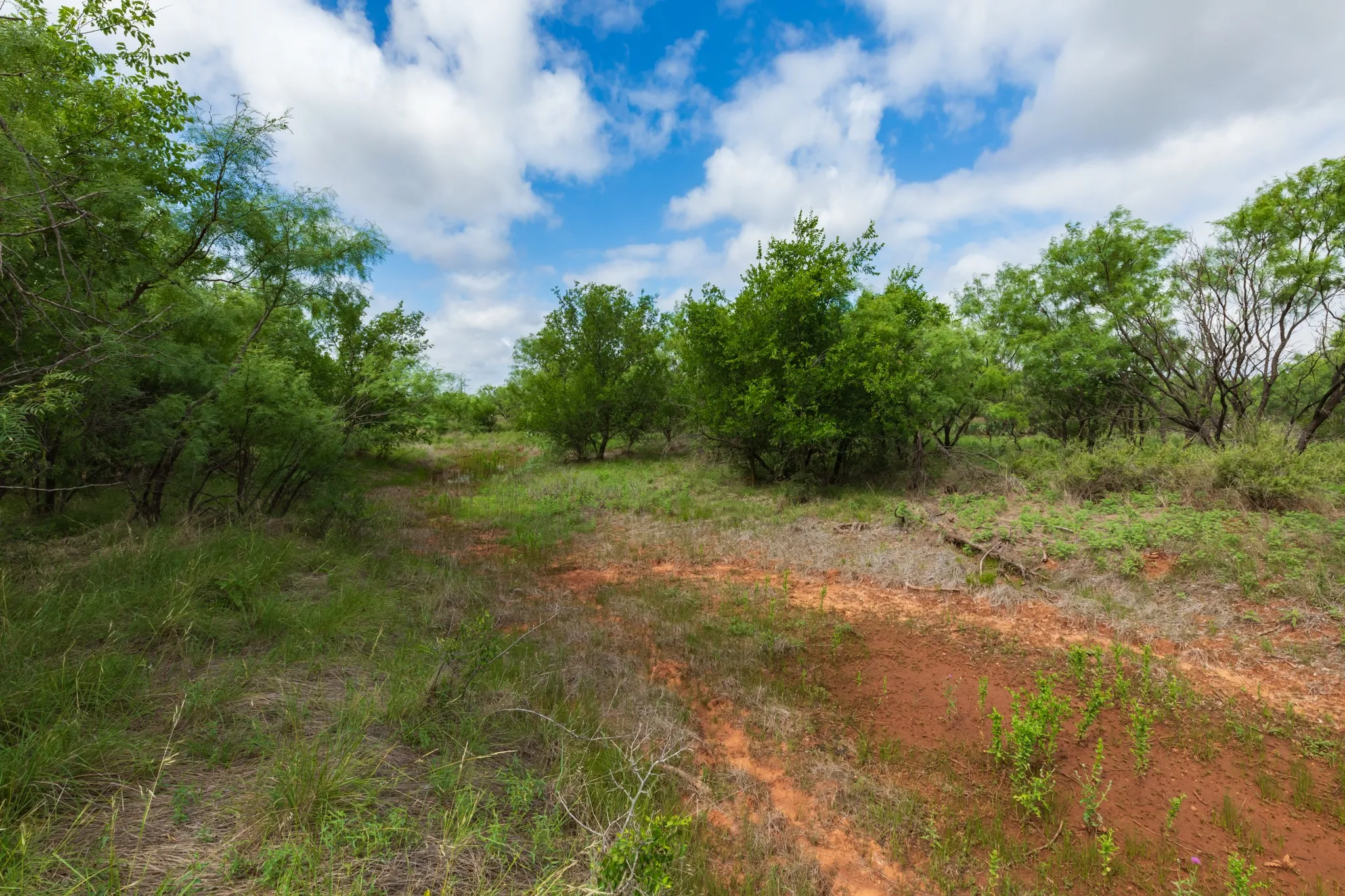 Unimproved Land For Sale in Jones County , TBD PR 4082, Abilene, Texas 79601, 0, 0, Garage spaces, 0 Sqft, built in 0, mls#21294718, Real Estate Agent in Abilene, Homes For Sale in Jones county, Homes For Sale in Abilene, Realtor in Abilene Texas, Real Estate Brokerage Independent Realty Texas, Luminita Cordes Realtor
