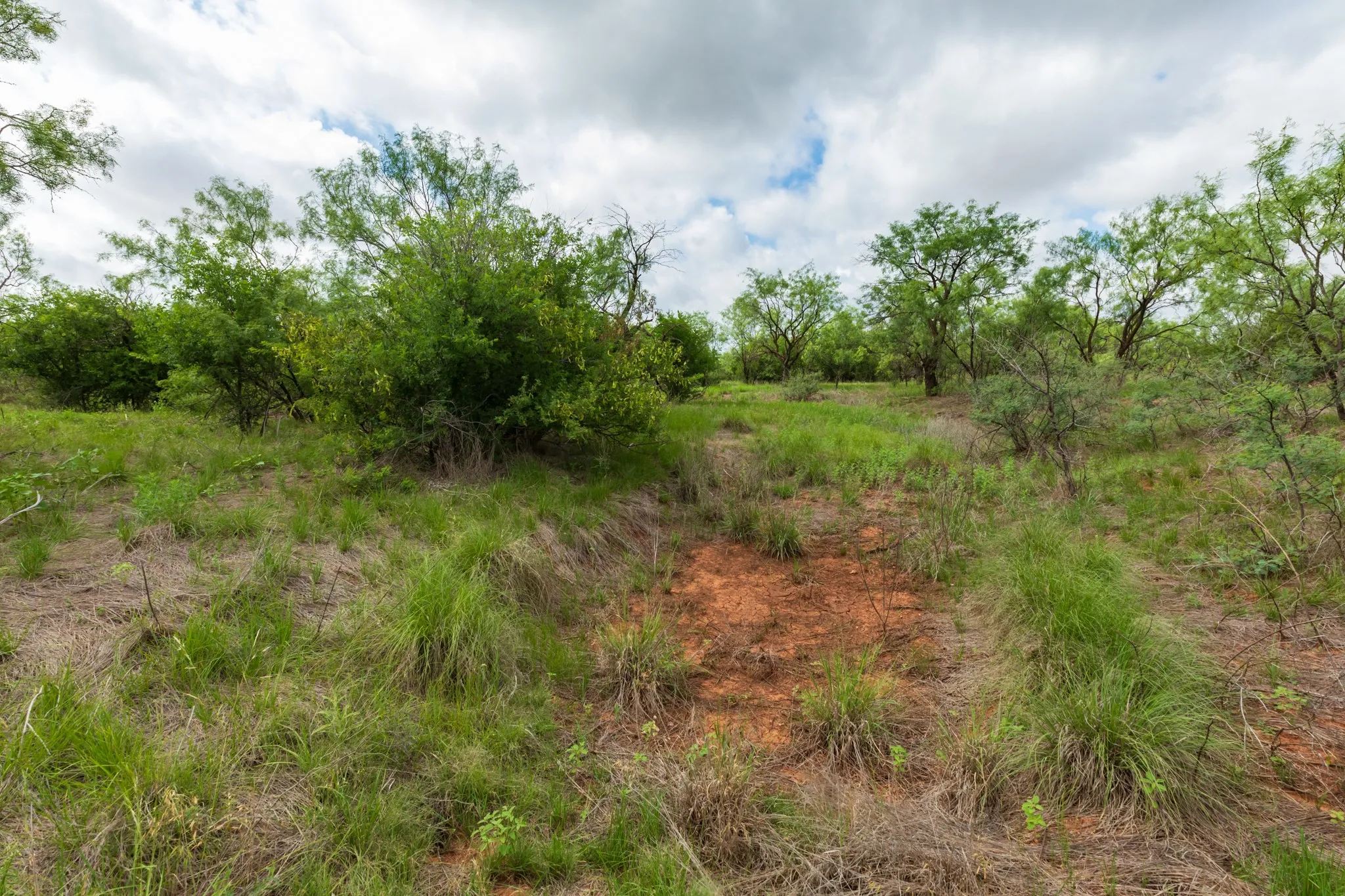 Unimproved Land For Sale in Jones County , TBD PR 4082, Abilene, Texas 79601, 0, 0, Garage spaces, 0 Sqft, built in 0, mls#21294718, Real Estate Agent in Abilene, Homes For Sale in Jones county, Homes For Sale in Abilene, Realtor in Abilene Texas, Real Estate Brokerage Independent Realty Texas, Luminita Cordes Realtor