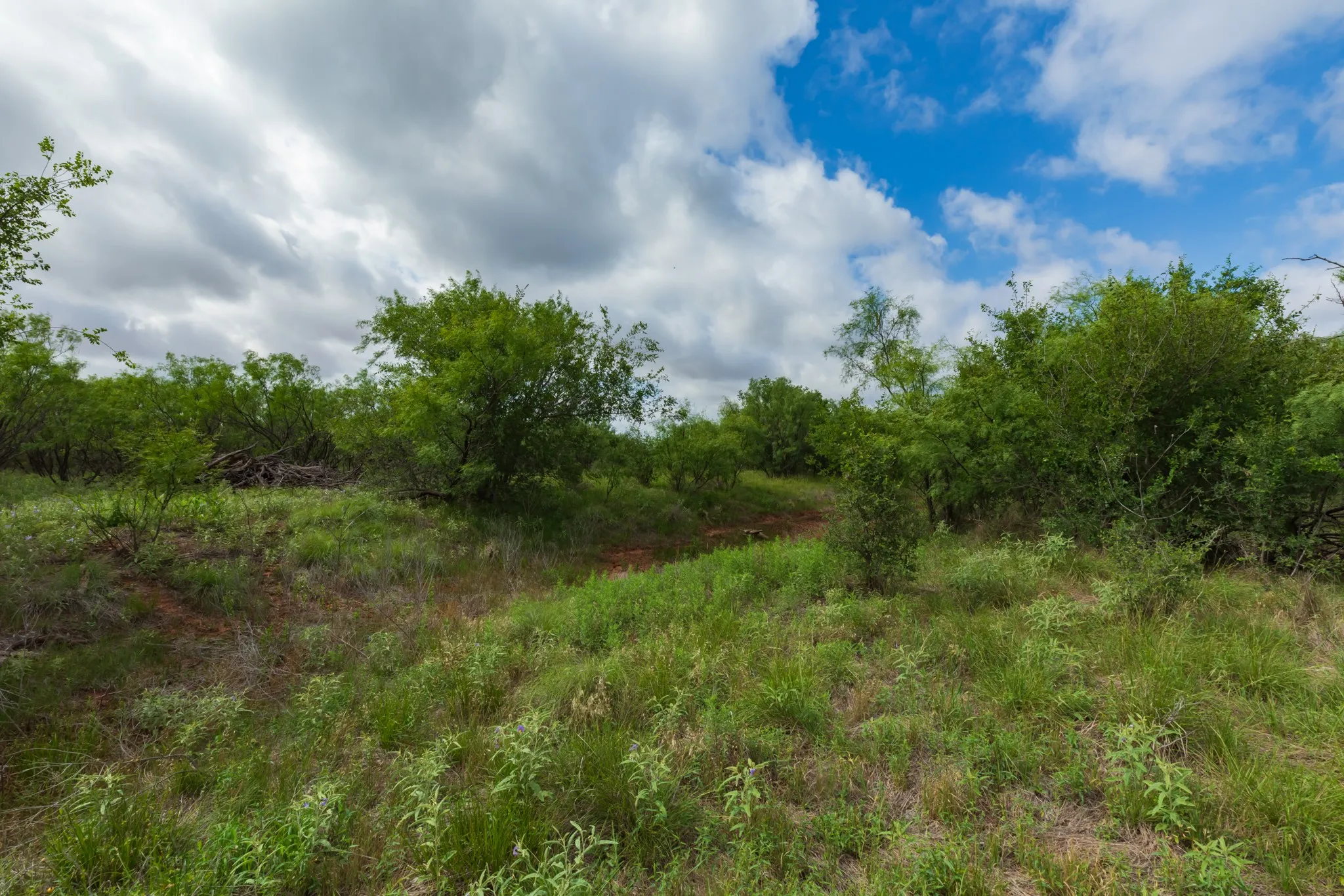 Unimproved Land For Sale in Jones County , TBD PR 4082, Abilene, Texas 79601, 0, 0, Garage spaces, 0 Sqft, built in 0, mls#21294718, Real Estate Agent in Abilene, Homes For Sale in Jones county, Homes For Sale in Abilene, Realtor in Abilene Texas, Real Estate Brokerage Independent Realty Texas, Luminita Cordes Realtor
