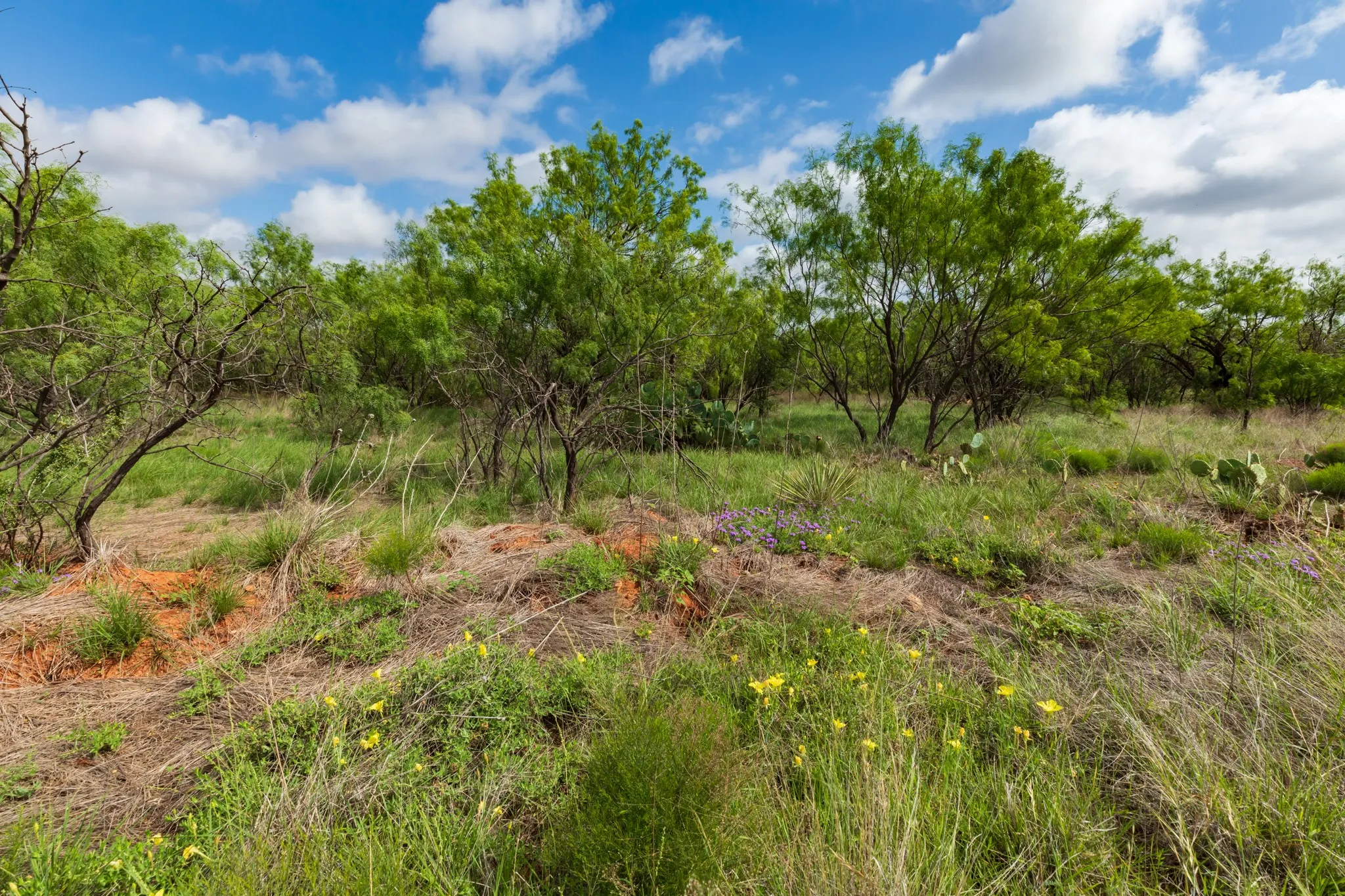 Unimproved Land For Sale in Jones County , TBD PR 4082, Abilene, Texas 79601, 0, 0, Garage spaces, 0 Sqft, built in 0, mls#21294718, Real Estate Agent in Abilene, Homes For Sale in Jones county, Homes For Sale in Abilene, Realtor in Abilene Texas, Real Estate Brokerage Independent Realty Texas, Luminita Cordes Realtor