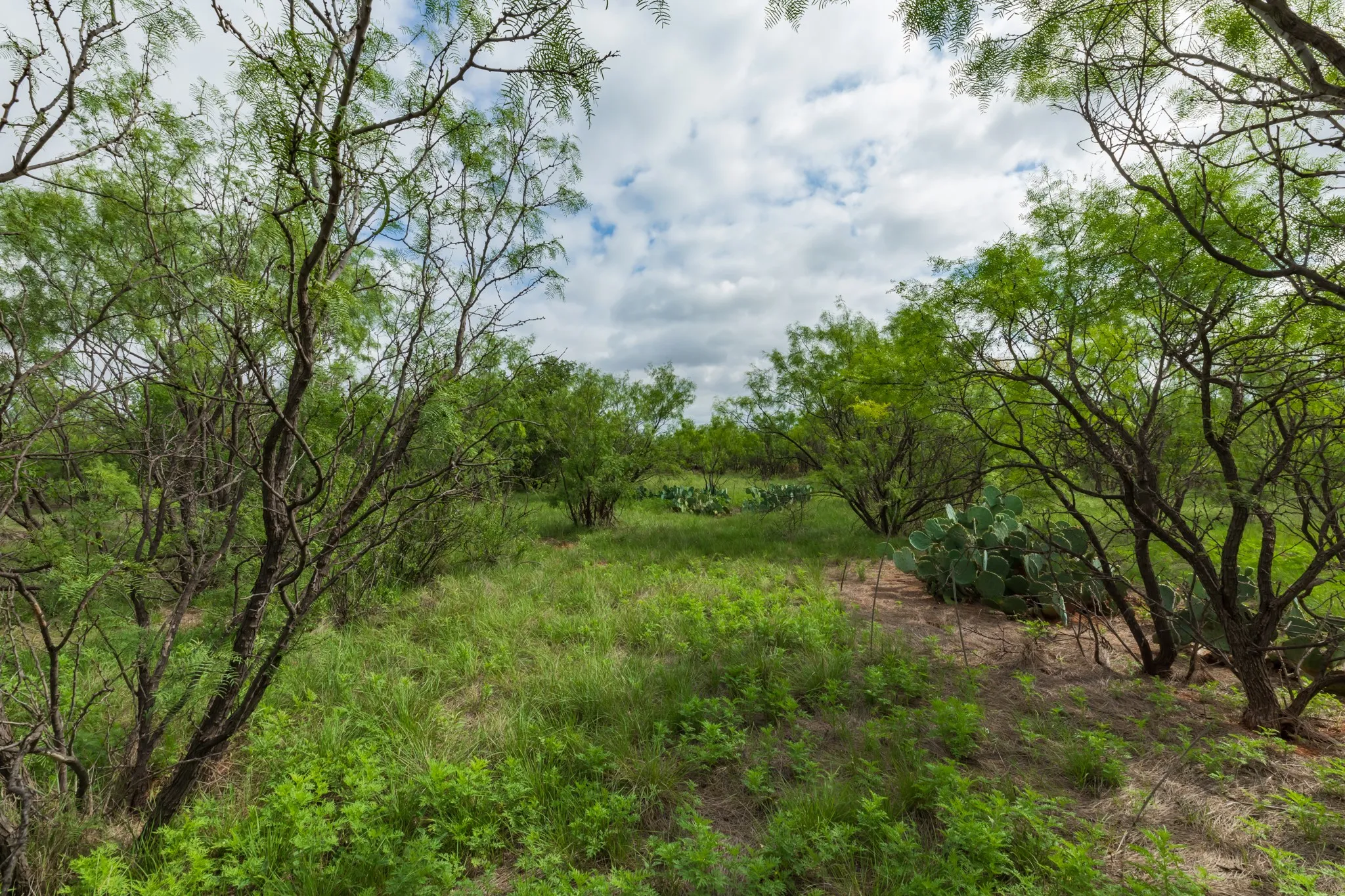 Unimproved Land For Sale in Jones County , TBD PR 4082, Abilene, Texas 79601, 0, 0, Garage spaces, 0 Sqft, built in 0, mls#21294718, Real Estate Agent in Abilene, Homes For Sale in Jones county, Homes For Sale in Abilene, Realtor in Abilene Texas, Real Estate Brokerage Independent Realty Texas, Luminita Cordes Realtor