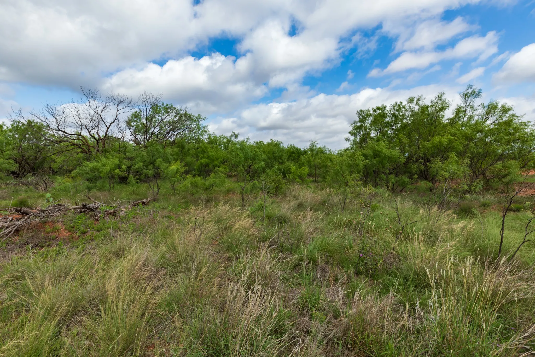 Unimproved Land For Sale in Jones County , TBD PR 4082, Abilene, Texas 79601, 0, 0, Garage spaces, 0 Sqft, built in 0, mls#21294718, Real Estate Agent in Abilene, Homes For Sale in Jones county, Homes For Sale in Abilene, Realtor in Abilene Texas, Real Estate Brokerage Independent Realty Texas, Luminita Cordes Realtor