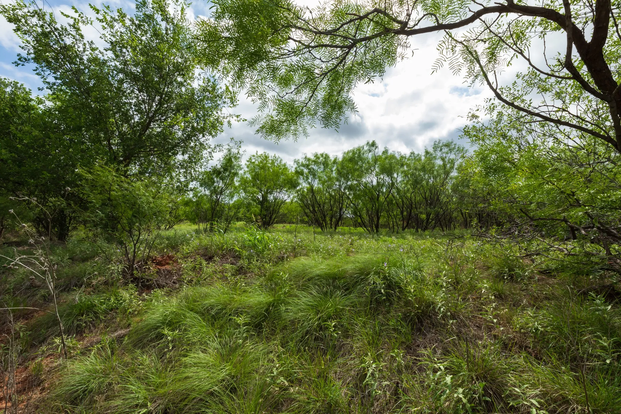 Unimproved Land For Sale in Jones County , TBD PR 4082, Abilene, Texas 79601, 0, 0, Garage spaces, 0 Sqft, built in 0, mls#21294718, Real Estate Agent in Abilene, Homes For Sale in Jones county, Homes For Sale in Abilene, Realtor in Abilene Texas, Real Estate Brokerage Independent Realty Texas, Luminita Cordes Realtor