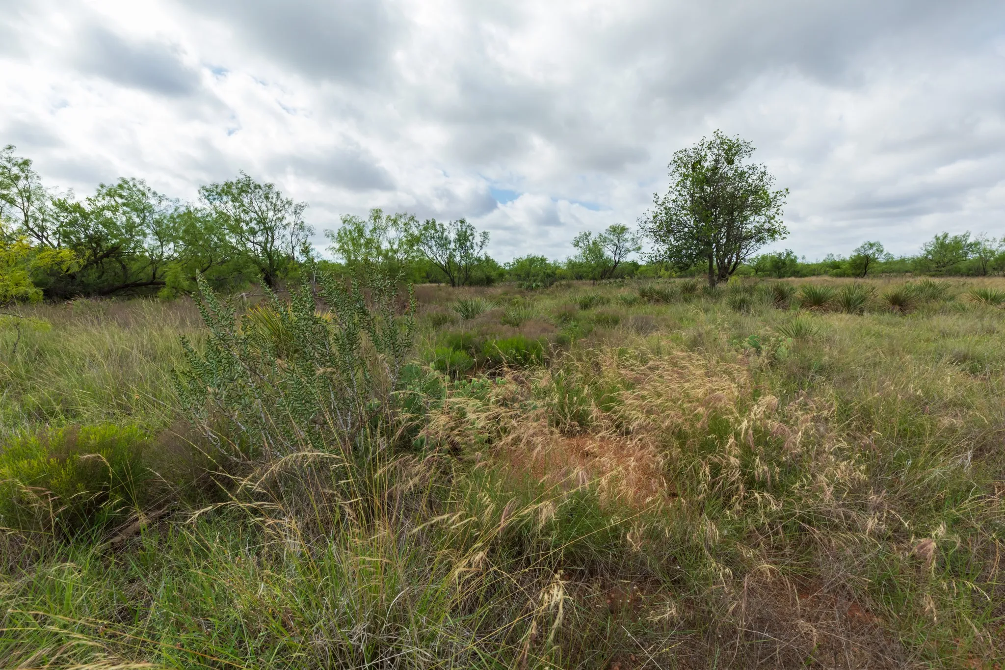 Unimproved Land For Sale in Jones County , TBD PR 4082, Abilene, Texas 79601, 0, 0, Garage spaces, 0 Sqft, built in 0, mls#21294718, Real Estate Agent in Abilene, Homes For Sale in Jones county, Homes For Sale in Abilene, Realtor in Abilene Texas, Real Estate Brokerage Independent Realty Texas, Luminita Cordes Realtor
