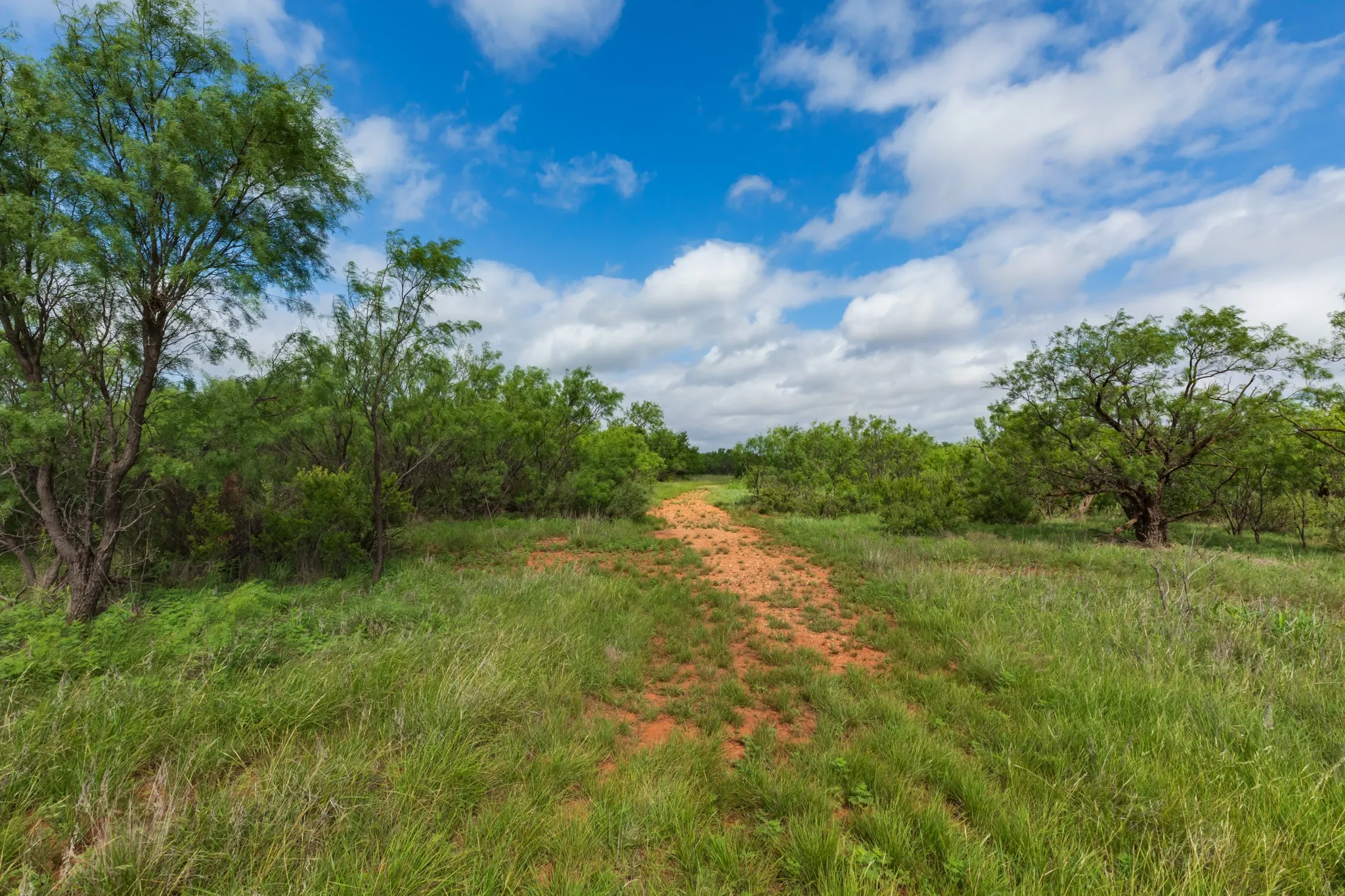 Unimproved Land For Sale in Jones County , TBD PR 4082, Abilene, Texas 79601, 0, 0, Garage spaces, 0 Sqft, built in 0, mls#21294718, Real Estate Agent in Abilene, Homes For Sale in Jones county, Homes For Sale in Abilene, Realtor in Abilene Texas, Real Estate Brokerage Independent Realty Texas, Luminita Cordes Realtor