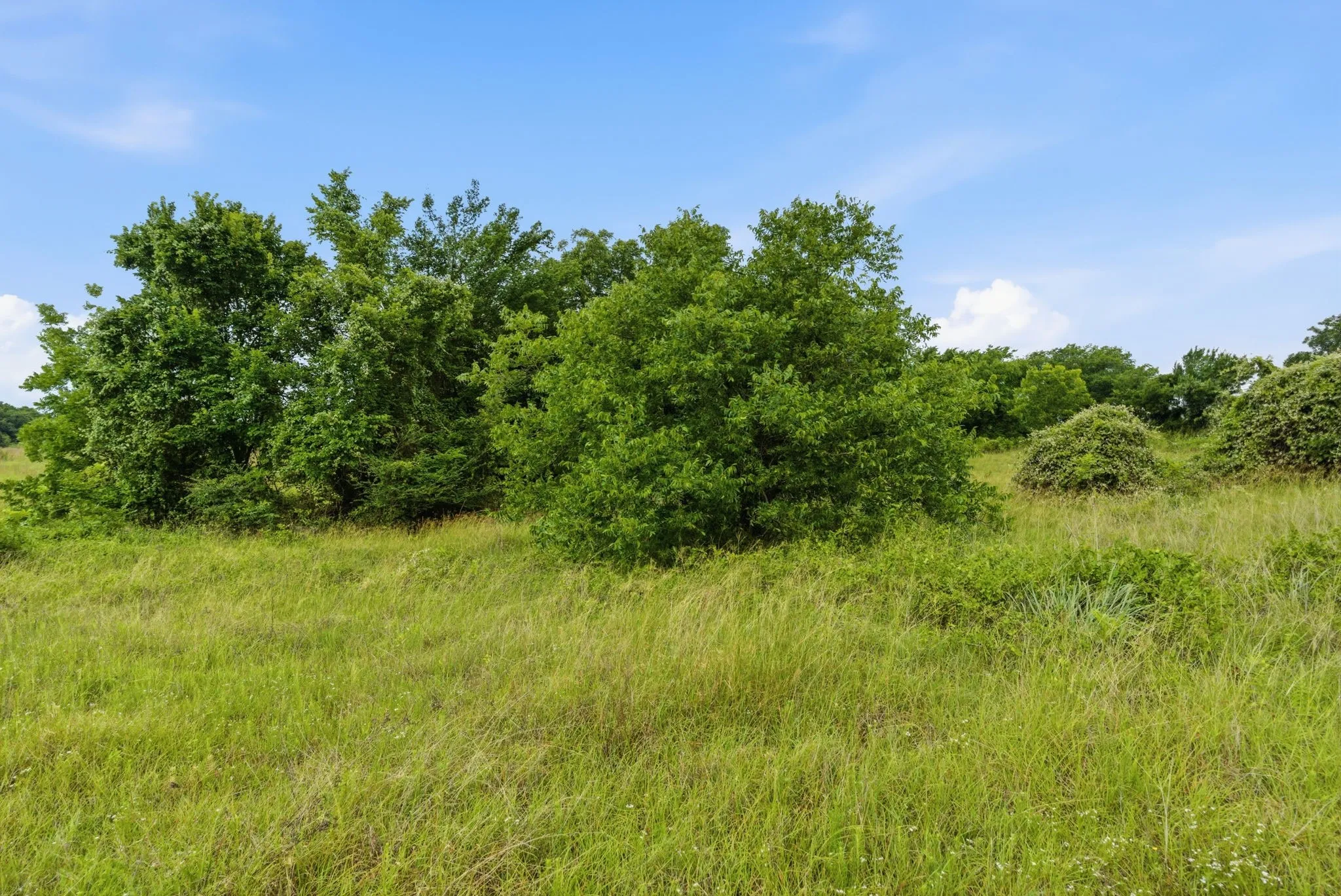 Ranch For Sale in Parker County , TBD Lone Star Road, Poolville, Texas 76487, 0, 0, Garage spaces, 0 Sqft, built in 0, Price $499,850, mls#21293894, Real Estate Agent in Poolville, Homes For Sale in Parker county, Homes For Sale in Poolville, Realtor in Poolville Texas, Real Estate Brokerage Independent Realty Texas, Luminita Cordes Realtor