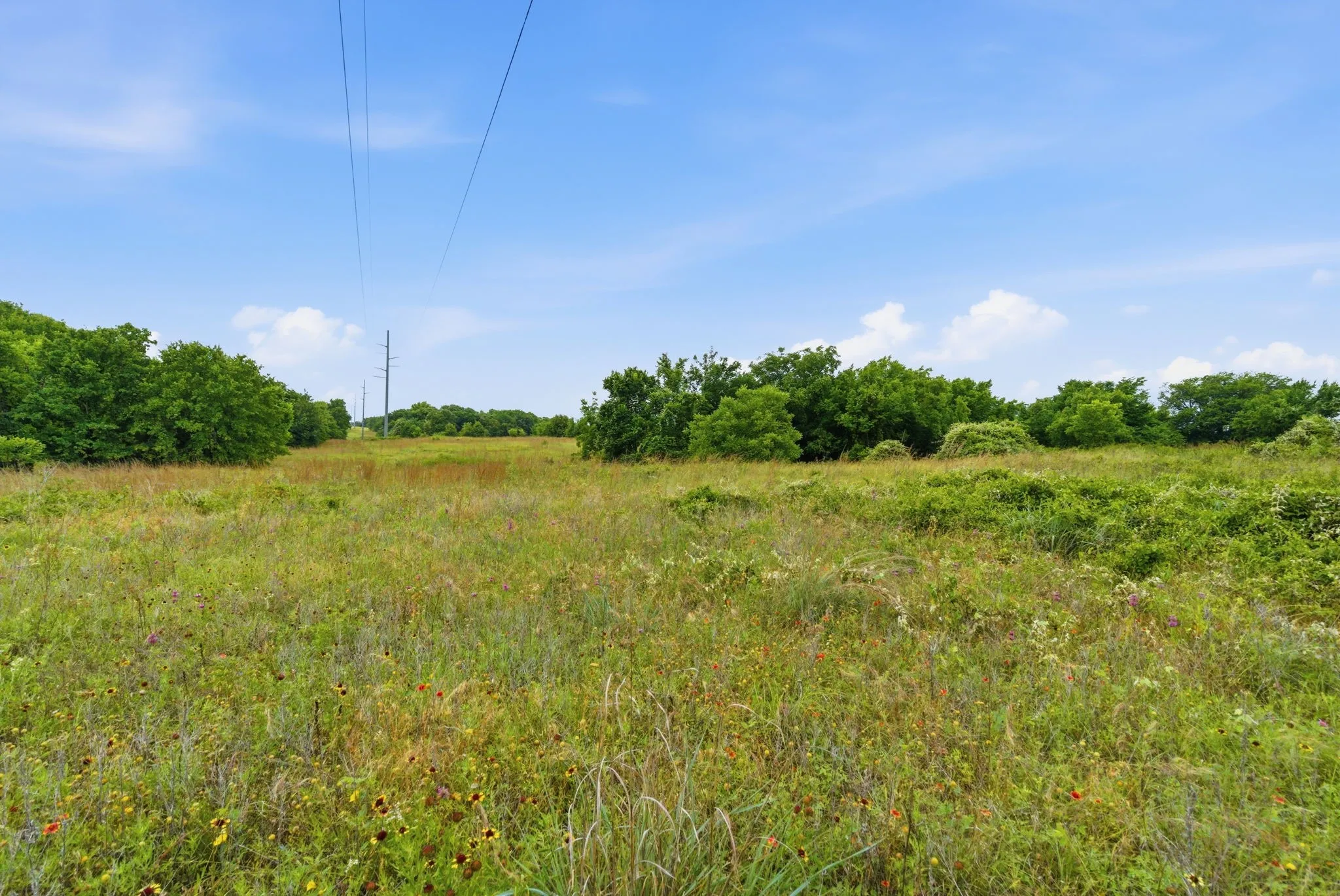 Ranch For Sale in Parker County , TBD Lone Star Road, Poolville, Texas 76487, 0, 0, Garage spaces, 0 Sqft, built in 0, Price $499,850, mls#21293894, Real Estate Agent in Poolville, Homes For Sale in Parker county, Homes For Sale in Poolville, Realtor in Poolville Texas, Real Estate Brokerage Independent Realty Texas, Luminita Cordes Realtor