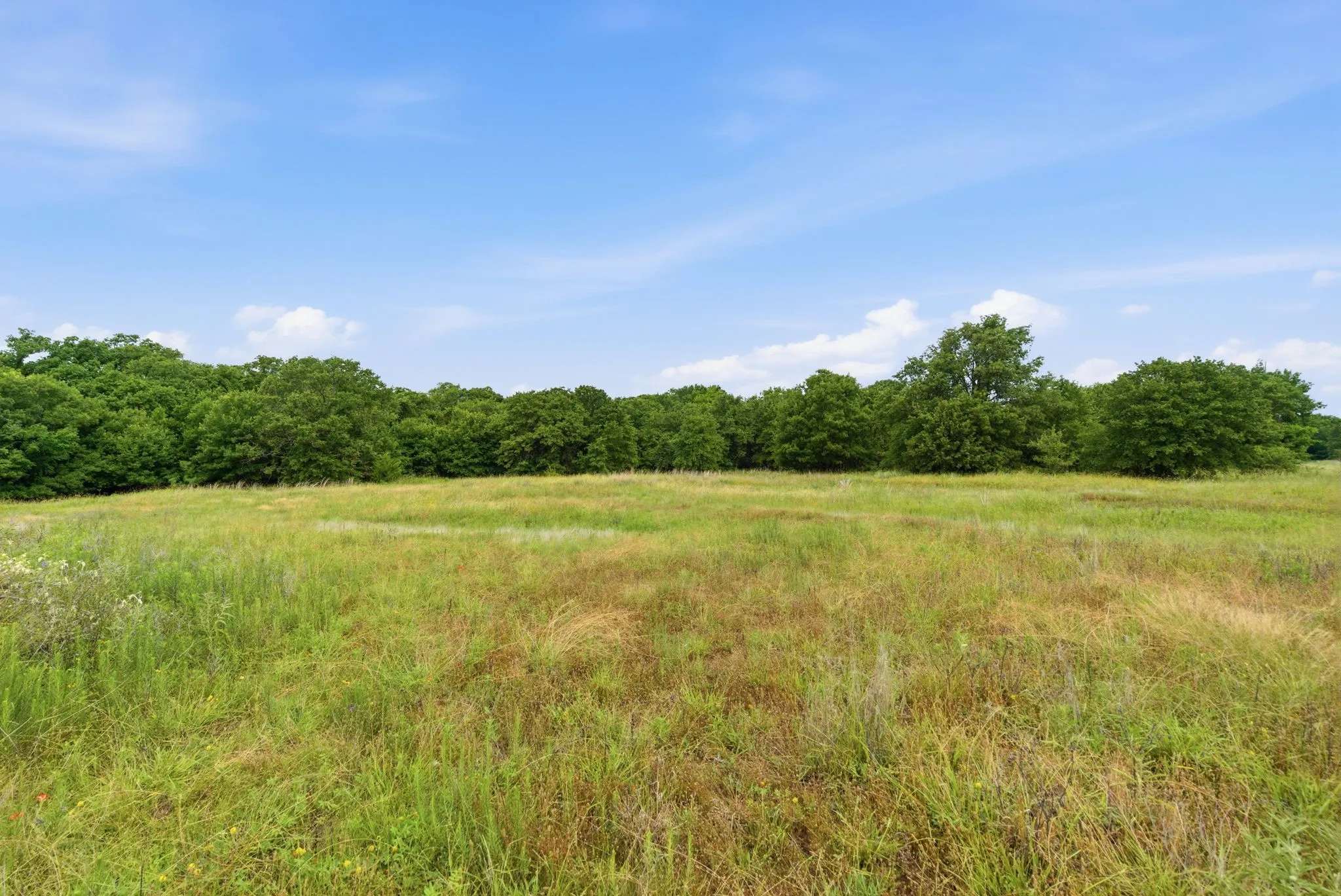 Ranch For Sale in Parker County , TBD Lone Star Road, Poolville, Texas 76487, 0, 0, Garage spaces, 0 Sqft, built in 0, Price $499,850, mls#21293894, Real Estate Agent in Poolville, Homes For Sale in Parker county, Homes For Sale in Poolville, Realtor in Poolville Texas, Real Estate Brokerage Independent Realty Texas, Luminita Cordes Realtor