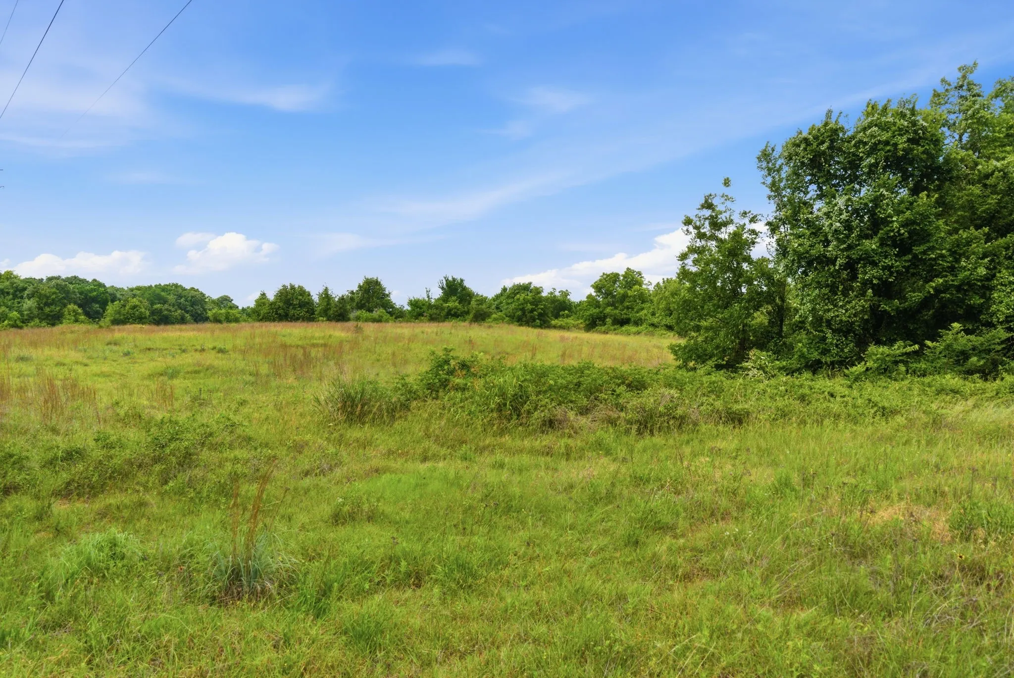 Ranch For Sale in Parker County , TBD Lone Star Road, Poolville, Texas 76487, 0, 0, Garage spaces, 0 Sqft, built in 0, Price $499,850, mls#21293894, Real Estate Agent in Poolville, Homes For Sale in Parker county, Homes For Sale in Poolville, Realtor in Poolville Texas, Real Estate Brokerage Independent Realty Texas, Luminita Cordes Realtor