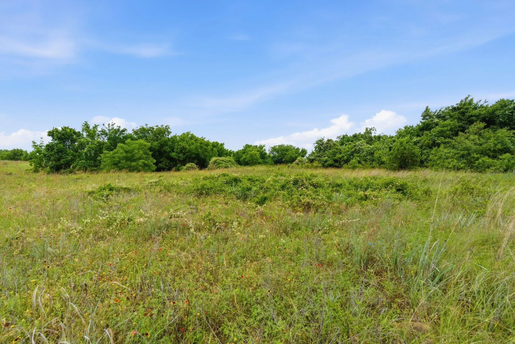 Ranch For Sale in Parker County , TBD Lone Star Road, Poolville, Texas 76487, 0, 0, Garage spaces, 0 Sqft, built in 0, Price $499,850, mls#21293894, Real Estate Agent in Poolville, Homes For Sale in Parker county, Homes For Sale in Poolville, Realtor in Poolville Texas, Real Estate Brokerage Independent Realty Texas, Luminita Cordes Realtor