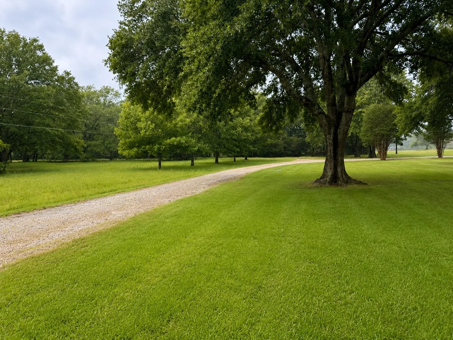 Farm For Sale in Fannin County , 4832 N State Highway 78, Bonham, Texas 75418, 3 Bedroom, 2 Bathroom, 2 Garage spaces, 2,840 Sqft, built in 1994, mls#21294818, Real Estate Agent in Bonham, Homes For Sale in Fannin county, Homes For Sale in Bonham, Realtor in Bonham Texas, Real Estate Brokerage Independent Realty Texas, Luminita Cordes Realtor