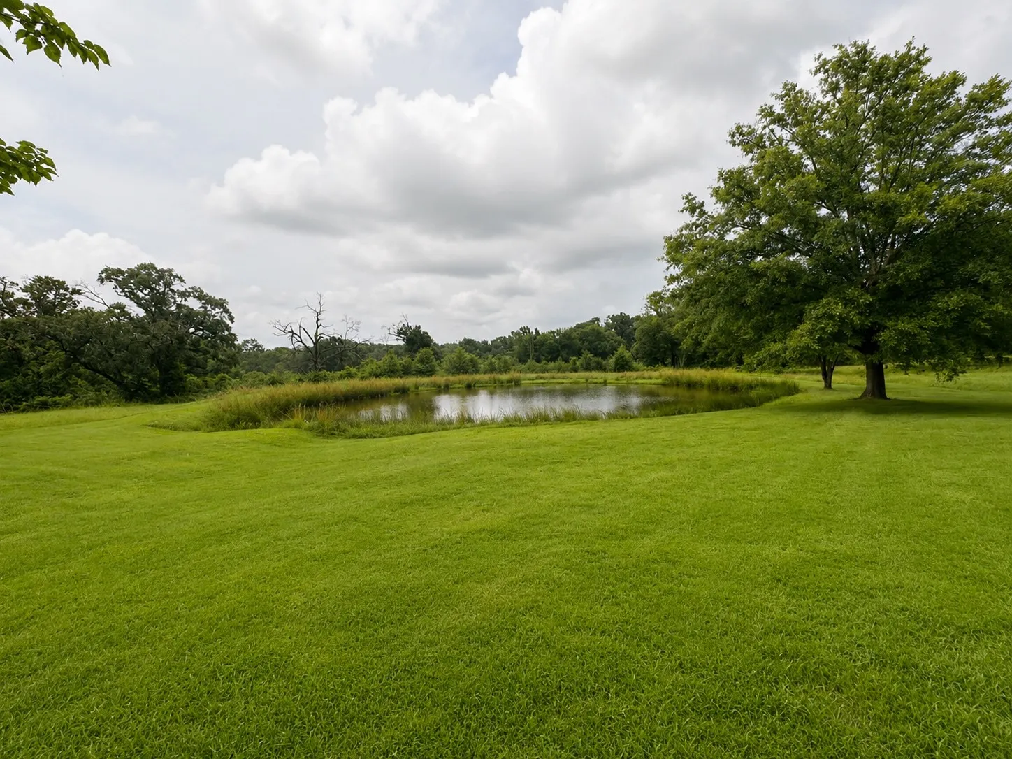 Farm For Sale in Fannin County , 4832 N State Highway 78, Bonham, Texas 75418, 3 Bedroom, 2 Bathroom, 2 Garage spaces, 2,840 Sqft, built in 1994, mls#21294818, Real Estate Agent in Bonham, Homes For Sale in Fannin county, Homes For Sale in Bonham, Realtor in Bonham Texas, Real Estate Brokerage Independent Realty Texas, Luminita Cordes Realtor