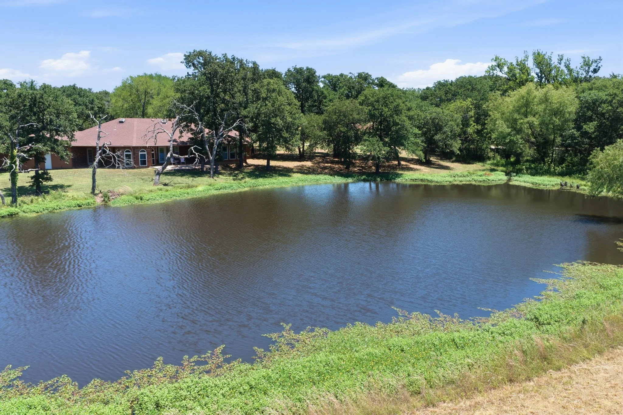 Peaceful pond behind the main home.