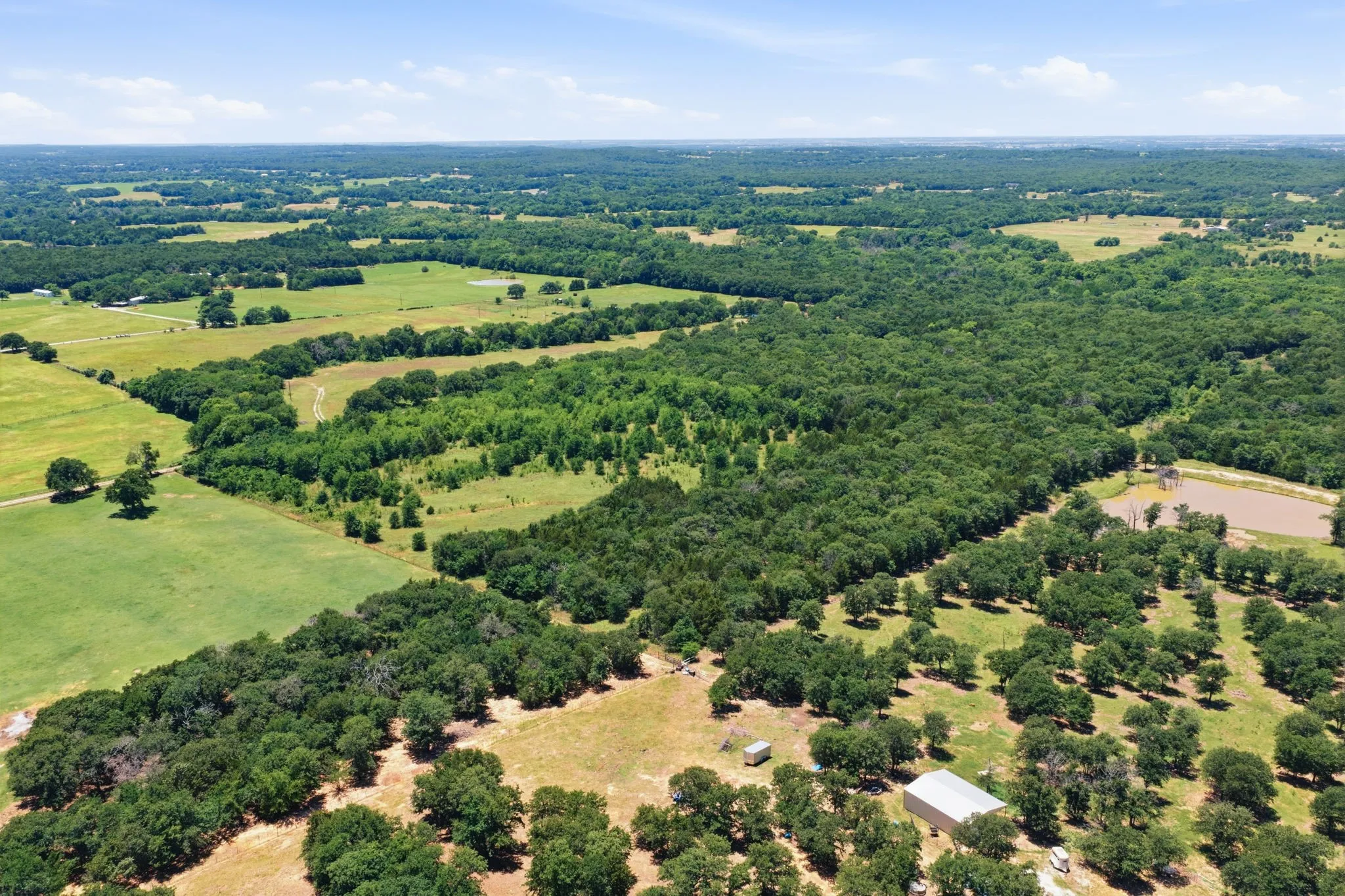 Trees in every direction for privacy on this property!
