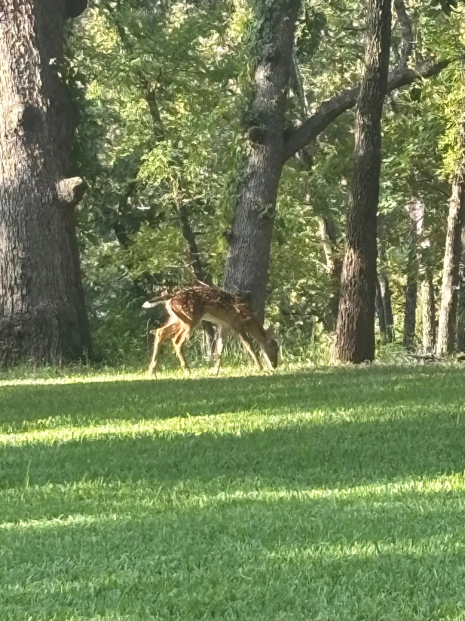 ENJOY NATURE RIGHT IN YOUR OWN BBACKYARD!