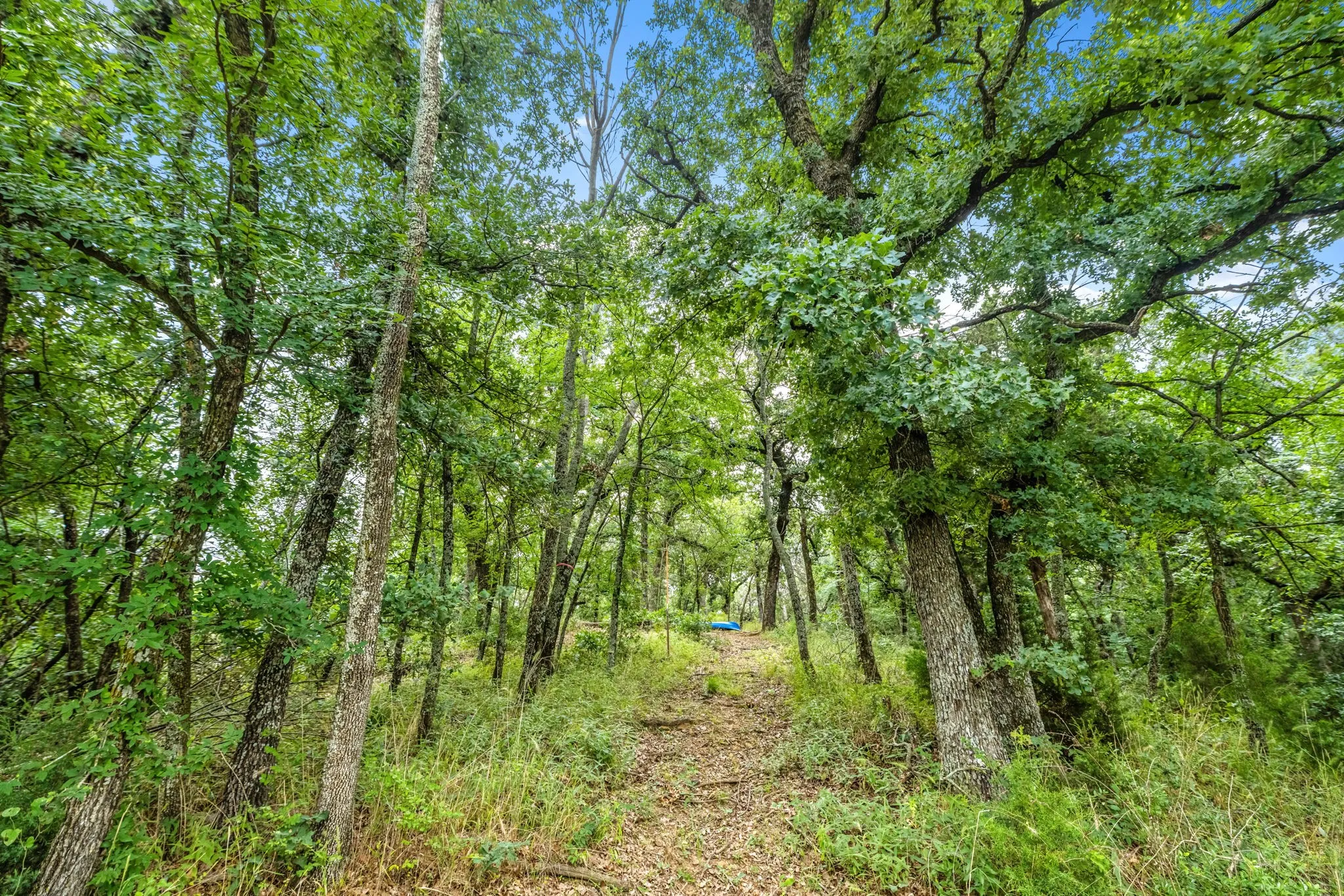 Follow the meandering path down to the lake cove for direct access to Lewisville Lake.    Total property is just over 2 acres!