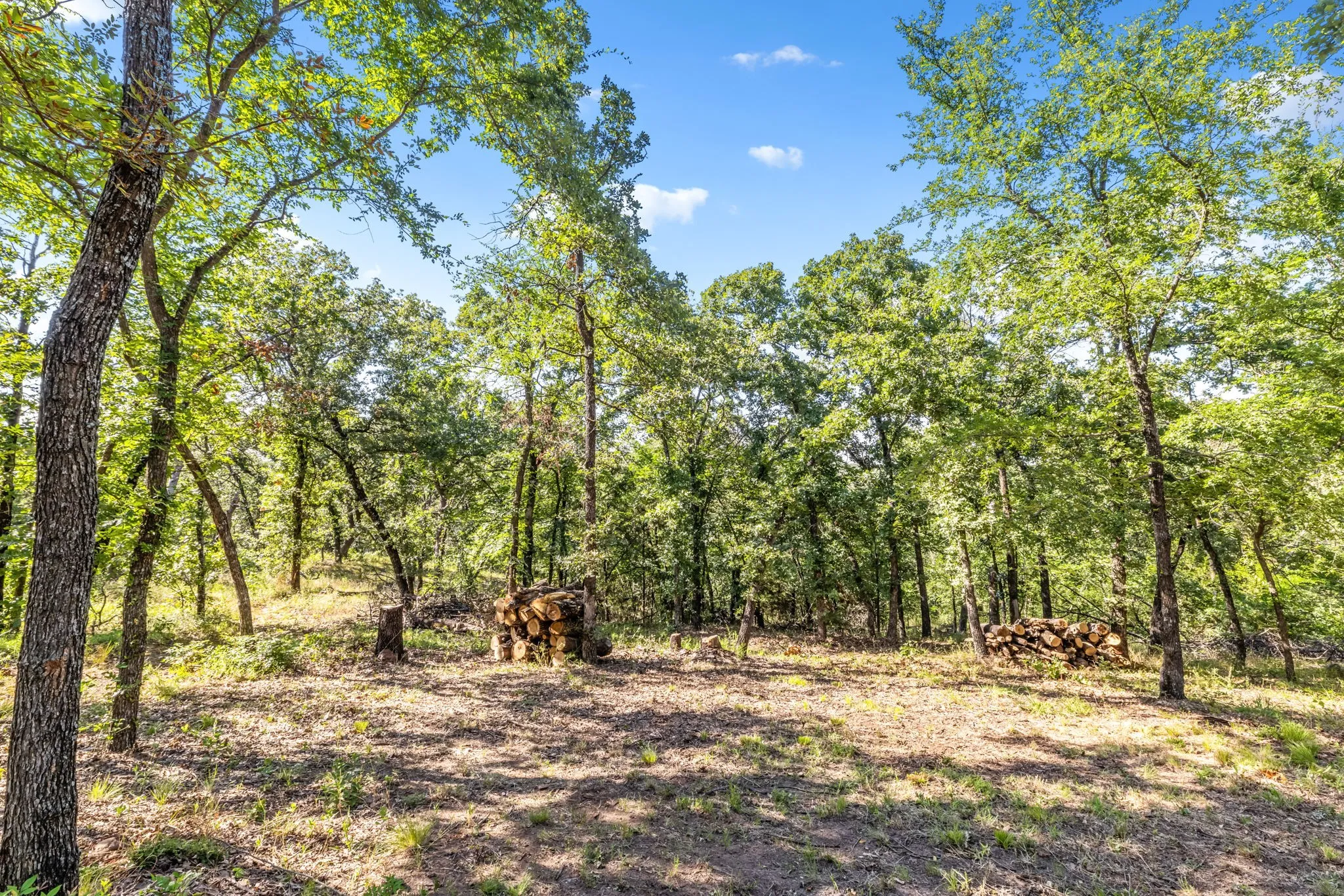 Single Family Residence For Sale in Denton County , 1020 Oak View Drive, Oak Point, Texas 75068, 5 Bedrooms, 5 Bathrooms, 3 Garage spaces, 4,631 Sqft, built in 2005, Price $1,050,000, mls#21293845, Real Estate Agent in Oak Point, Homes For Sale in Denton county, Homes For Sale in Oak Point, Realtor in Oak Point Texas, Real Estate Brokerage Independent Realty Texas, Luminita Cordes Realtor